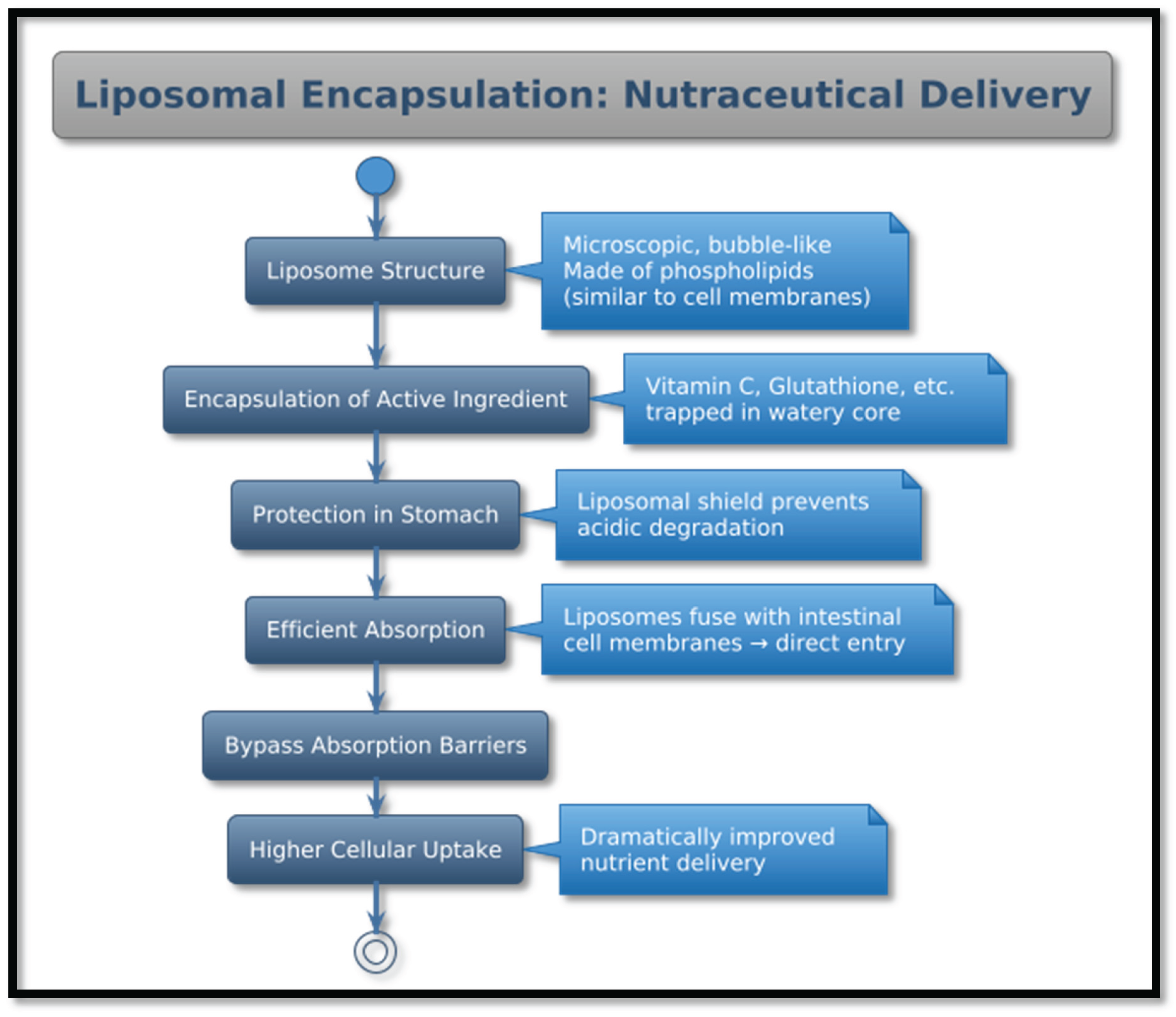 Preprints 175901 g001