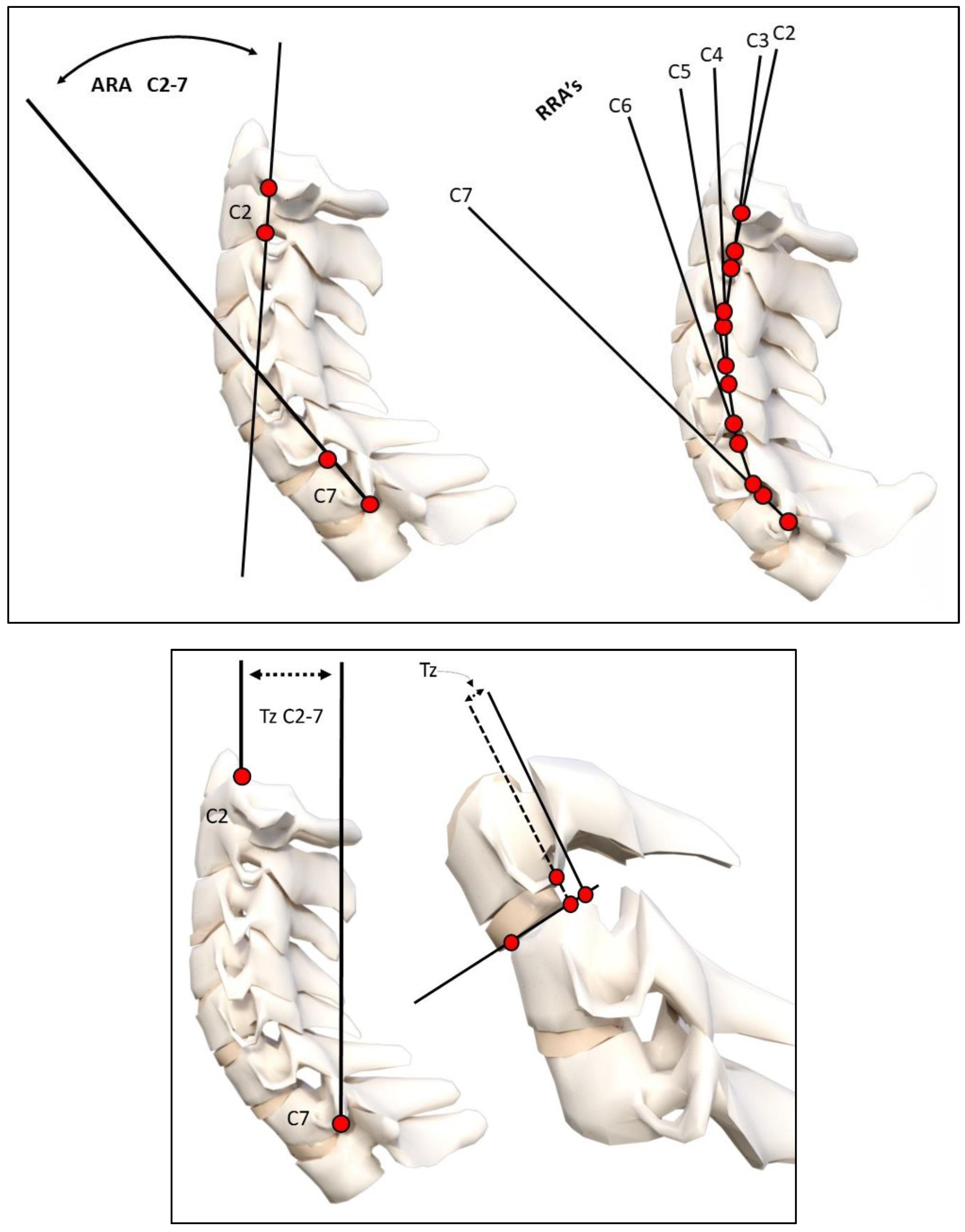 Preprints 99222 g001