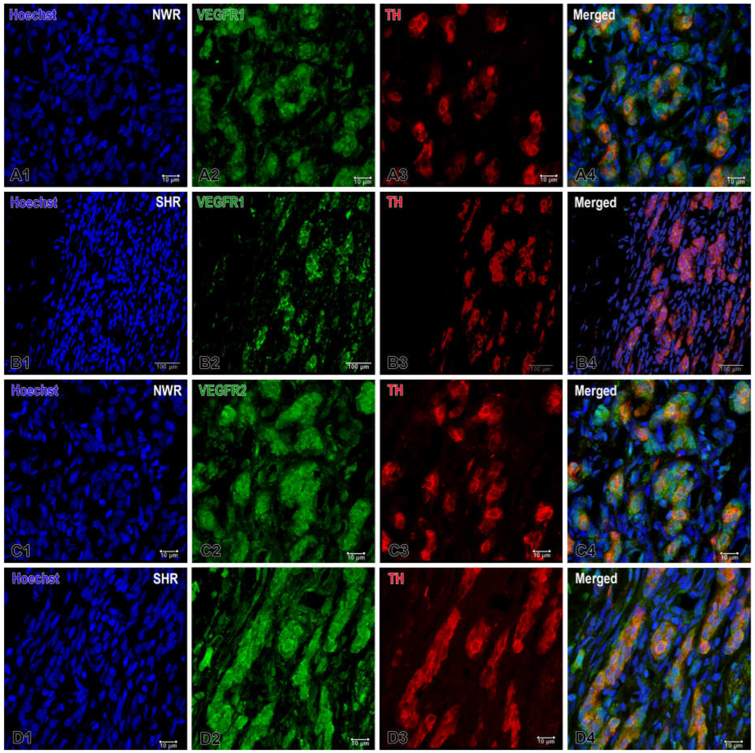 Preprints 143344 g003