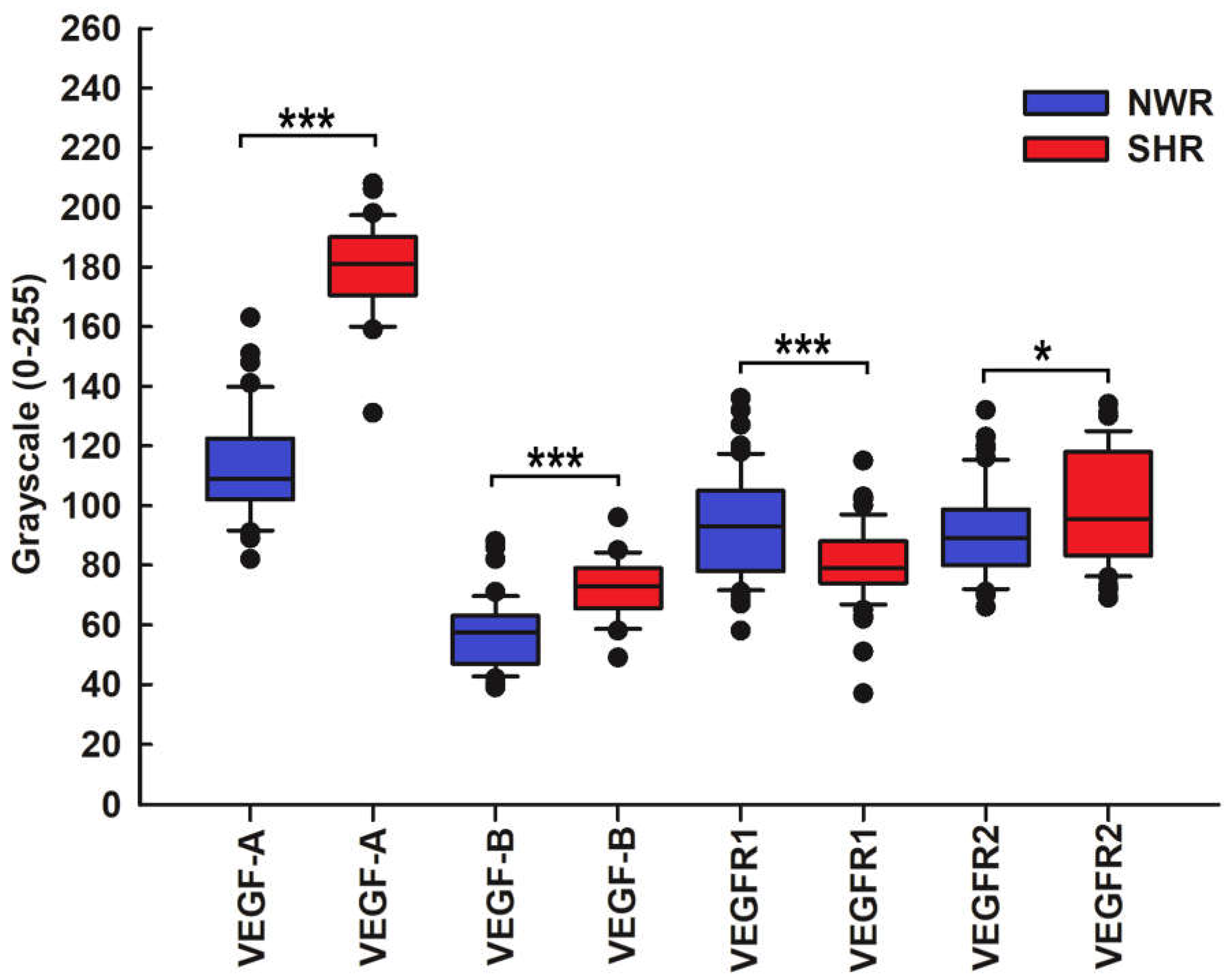 Preprints 143344 g004