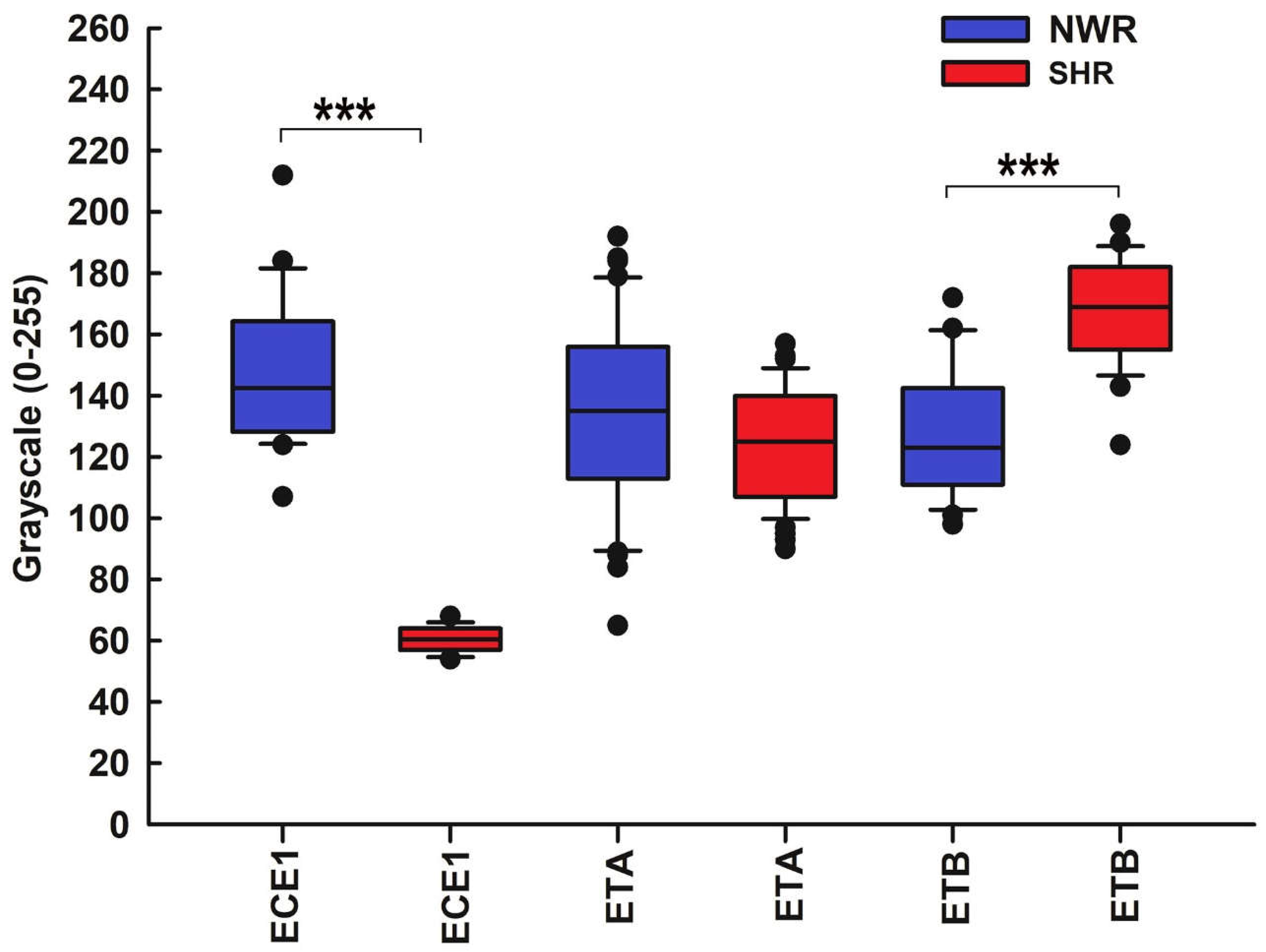 Preprints 143344 g007
