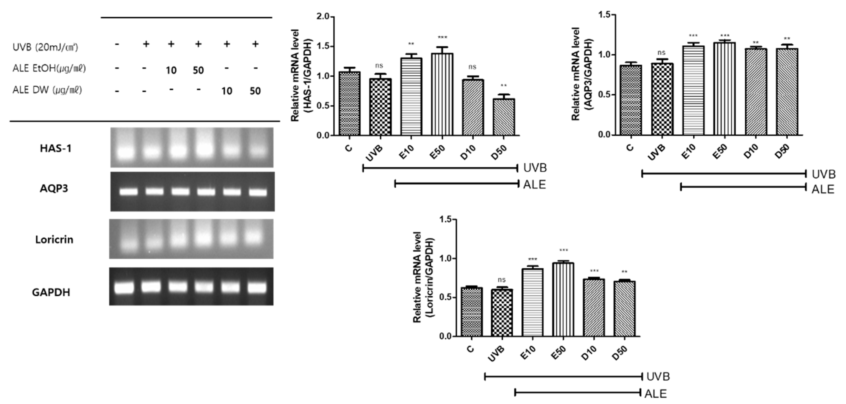 Preprints 83668 g003