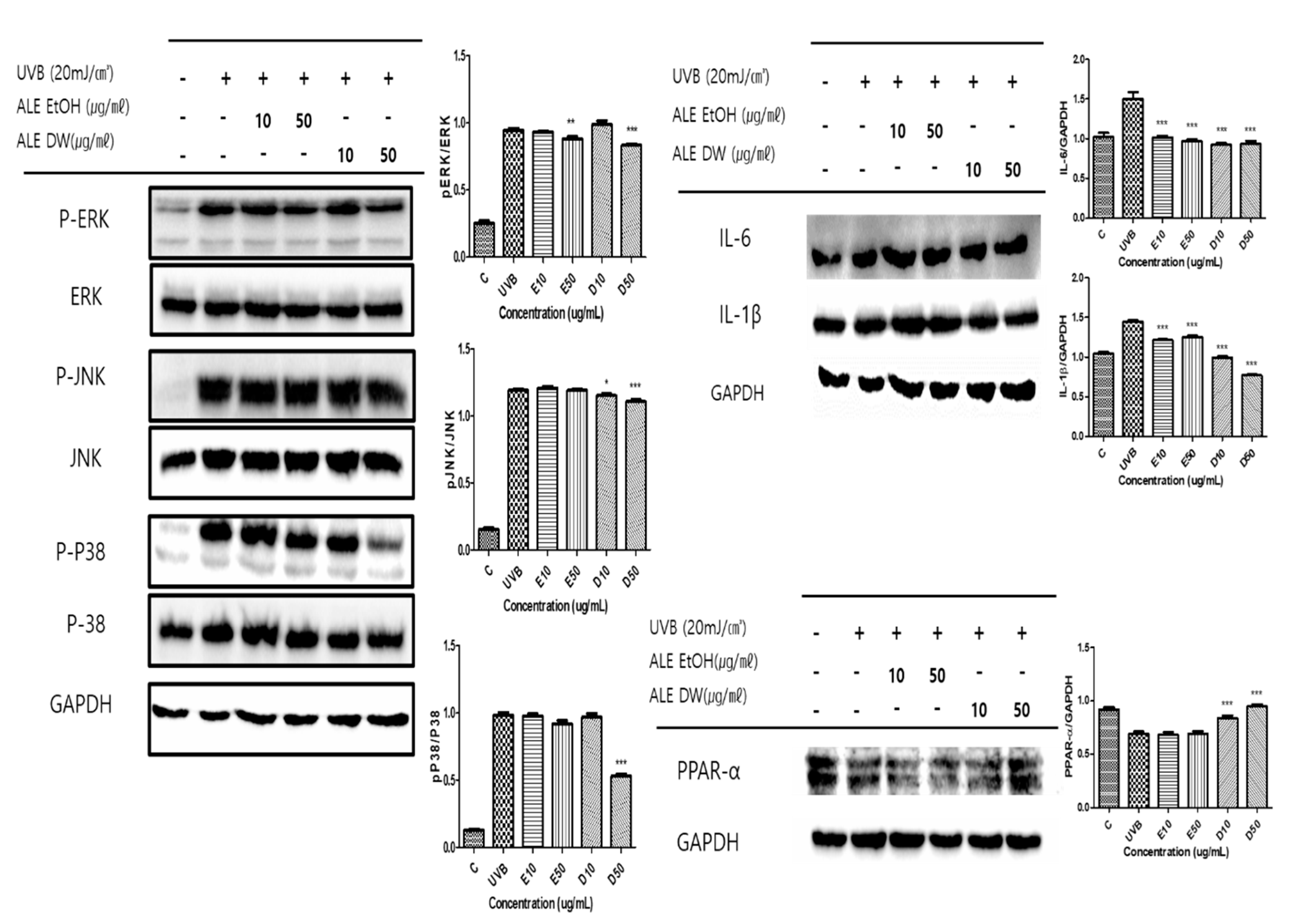 Preprints 83668 g004