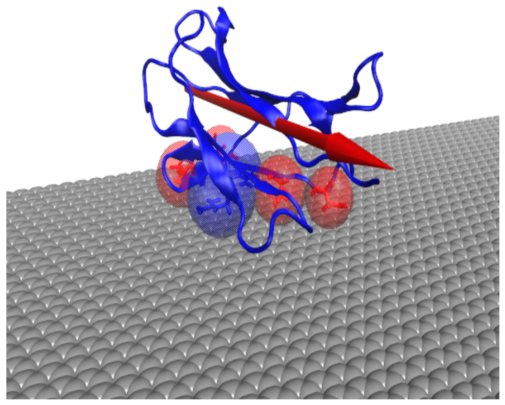 Preprints 234393 g002