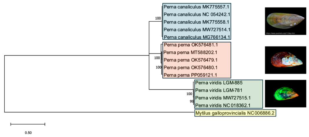 Preprints 218584 g007 Preprints 218584 g007