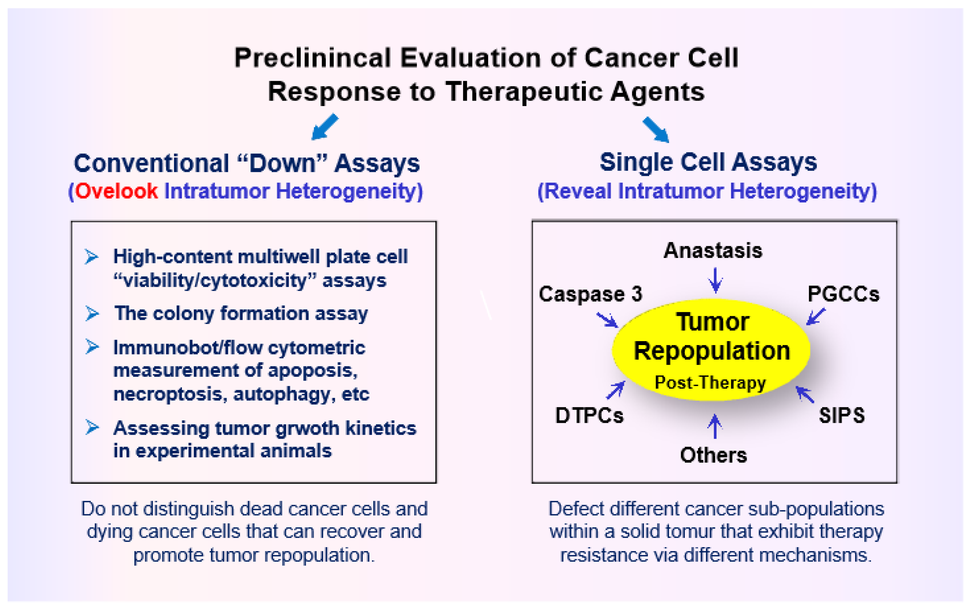 Preprints 104296 g002