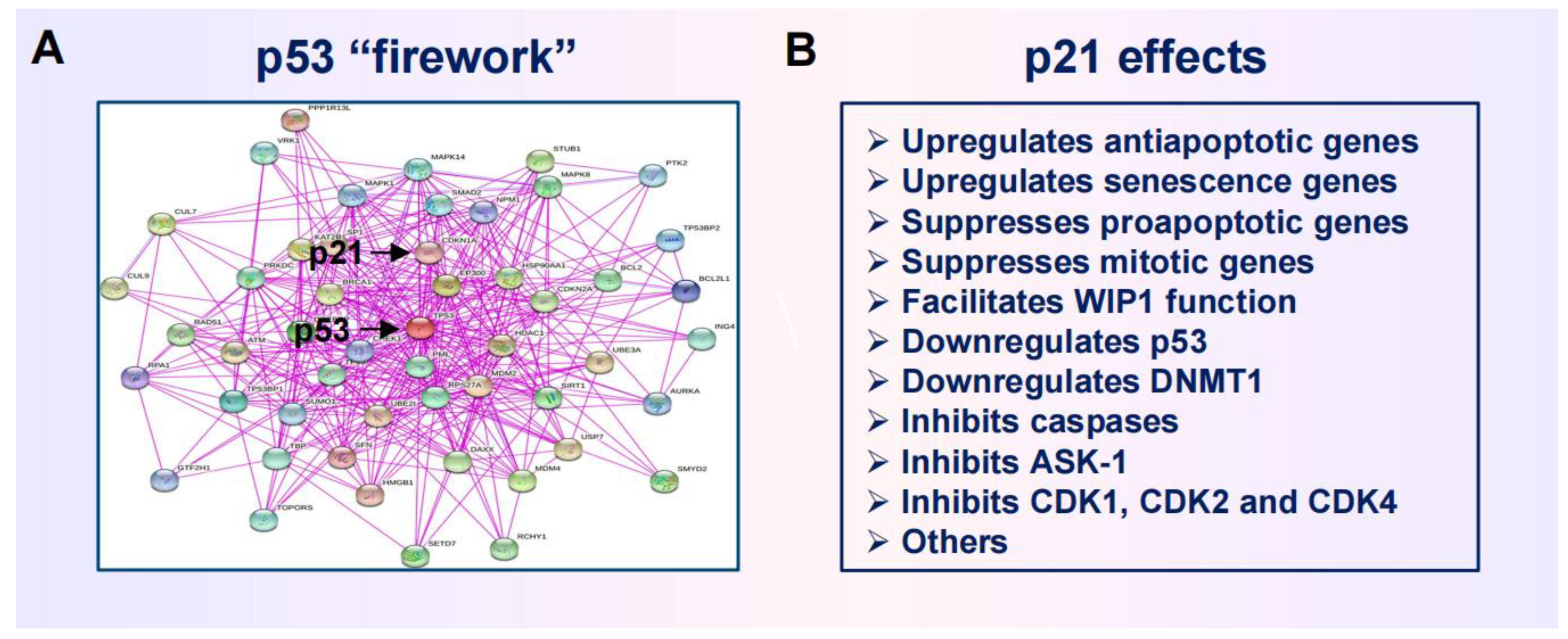 Preprints 104296 g003