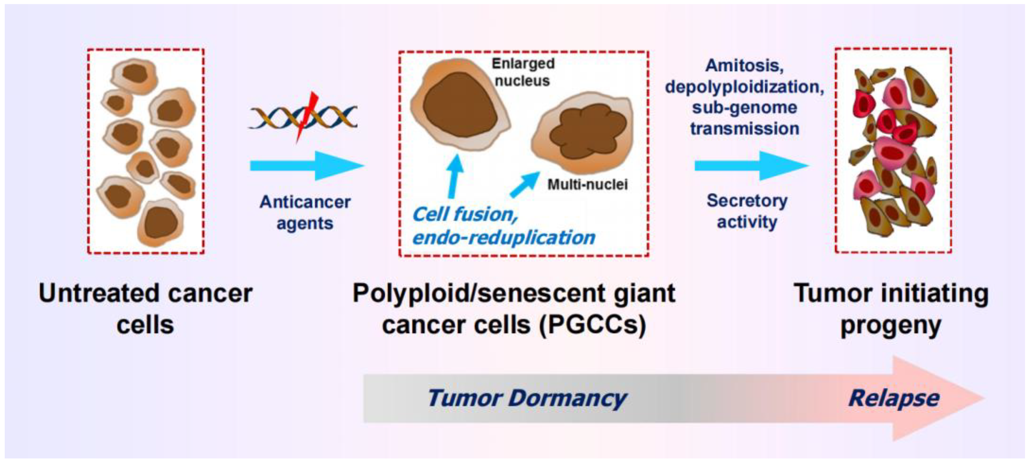 Preprints 104296 g004