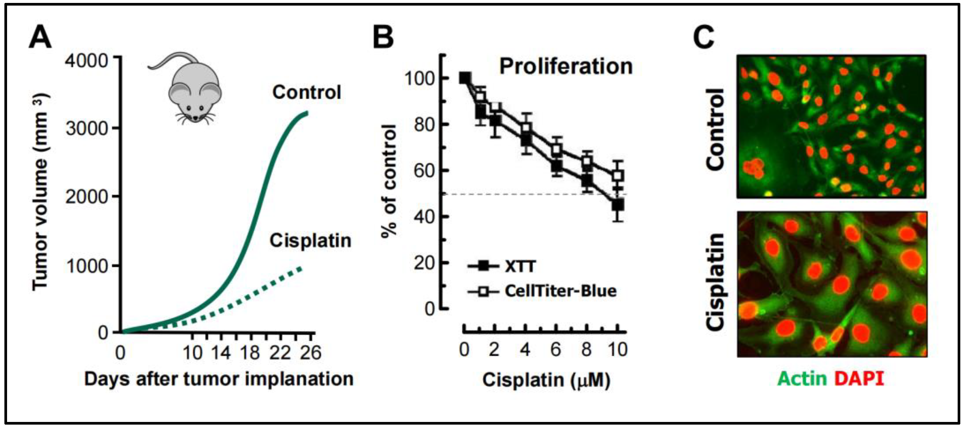Preprints 104296 g005