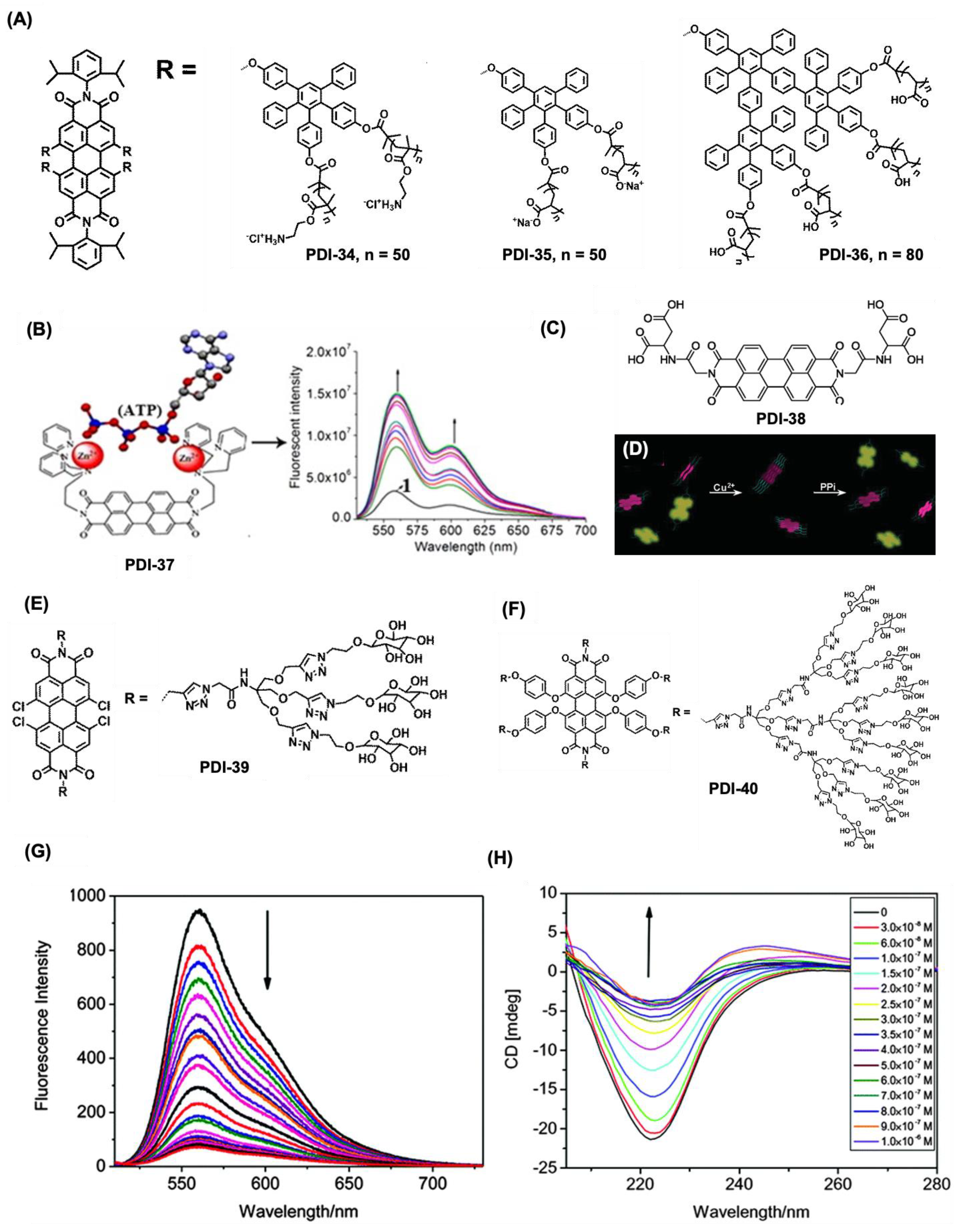 Preprints 151703 g008
