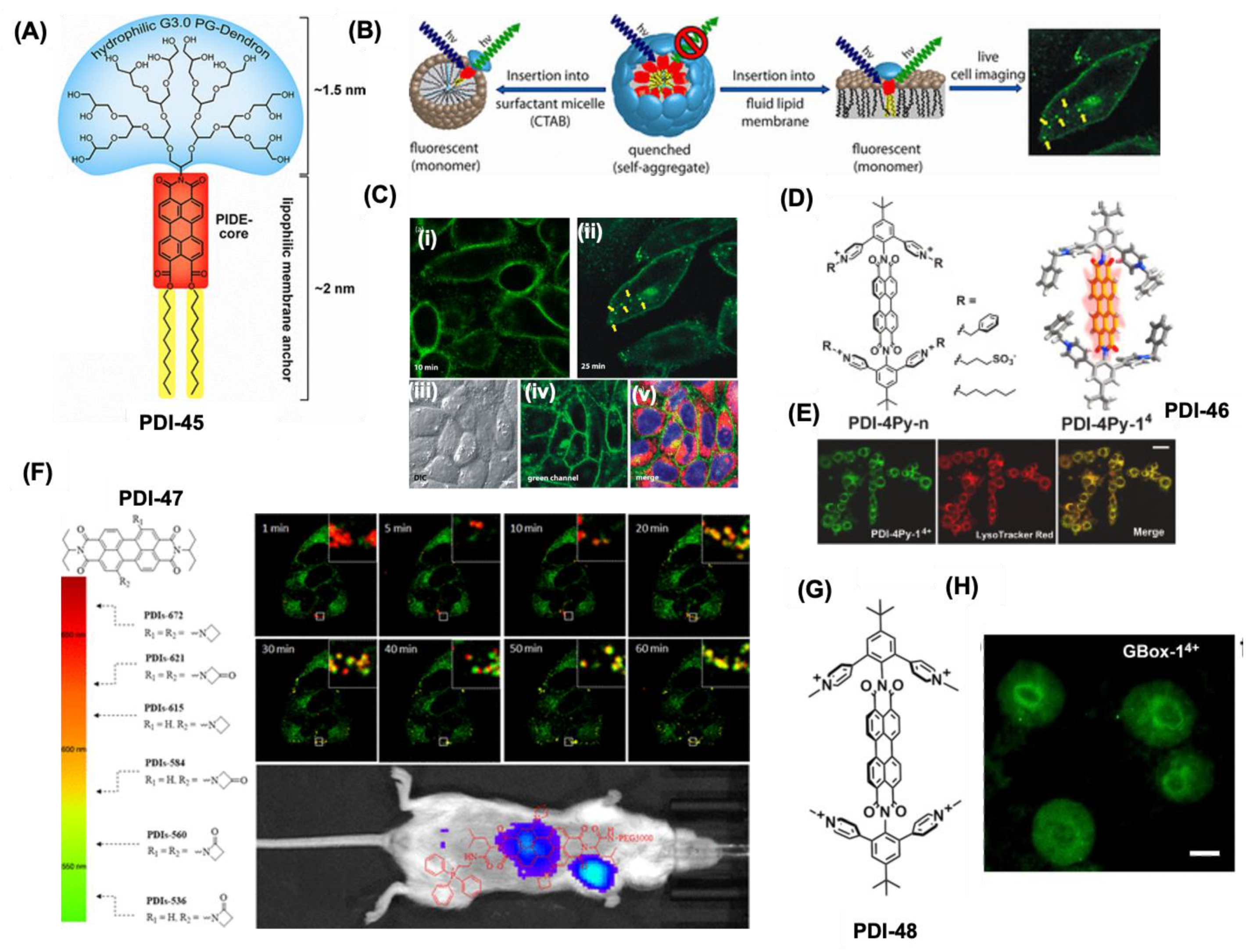 Preprints 151703 g010