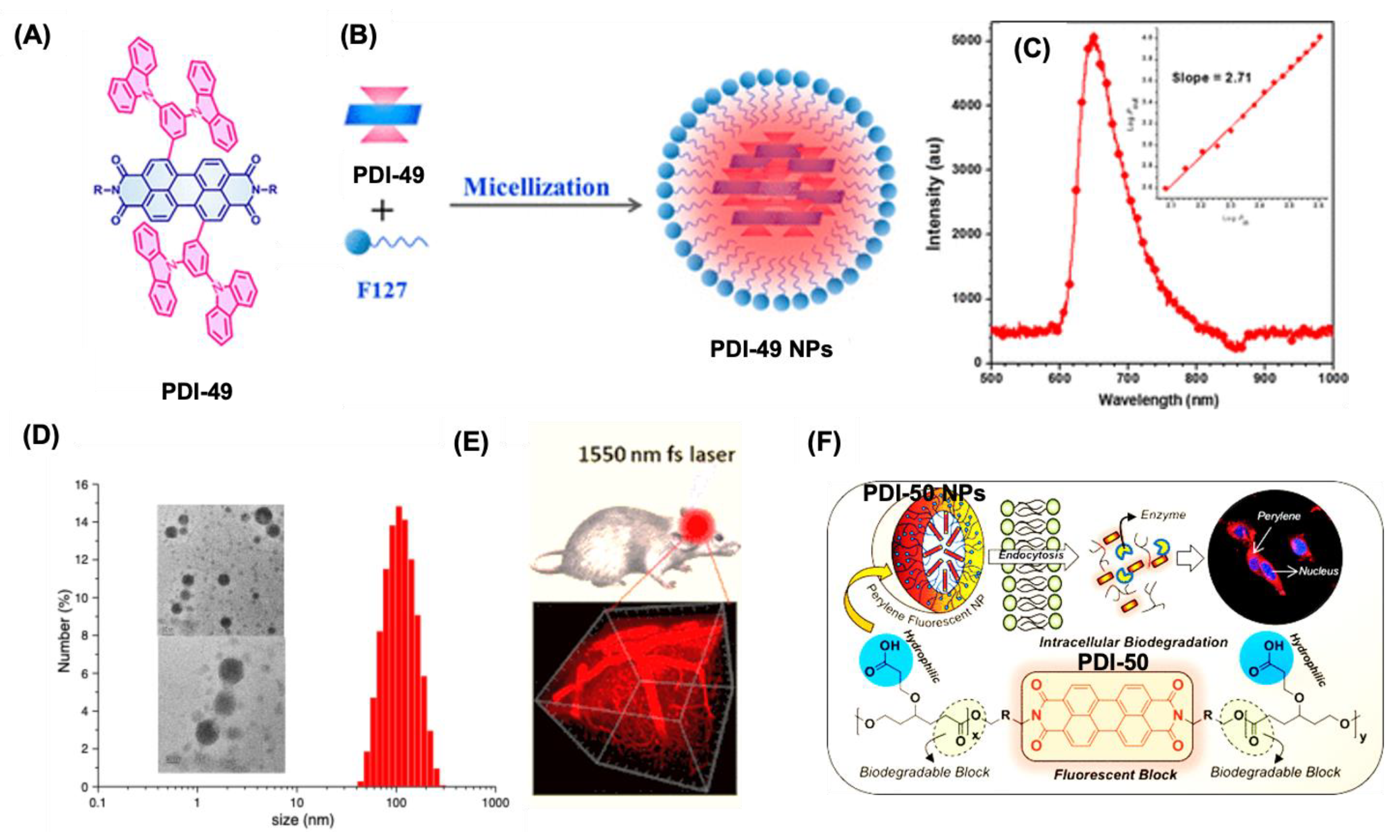 Preprints 151703 g011