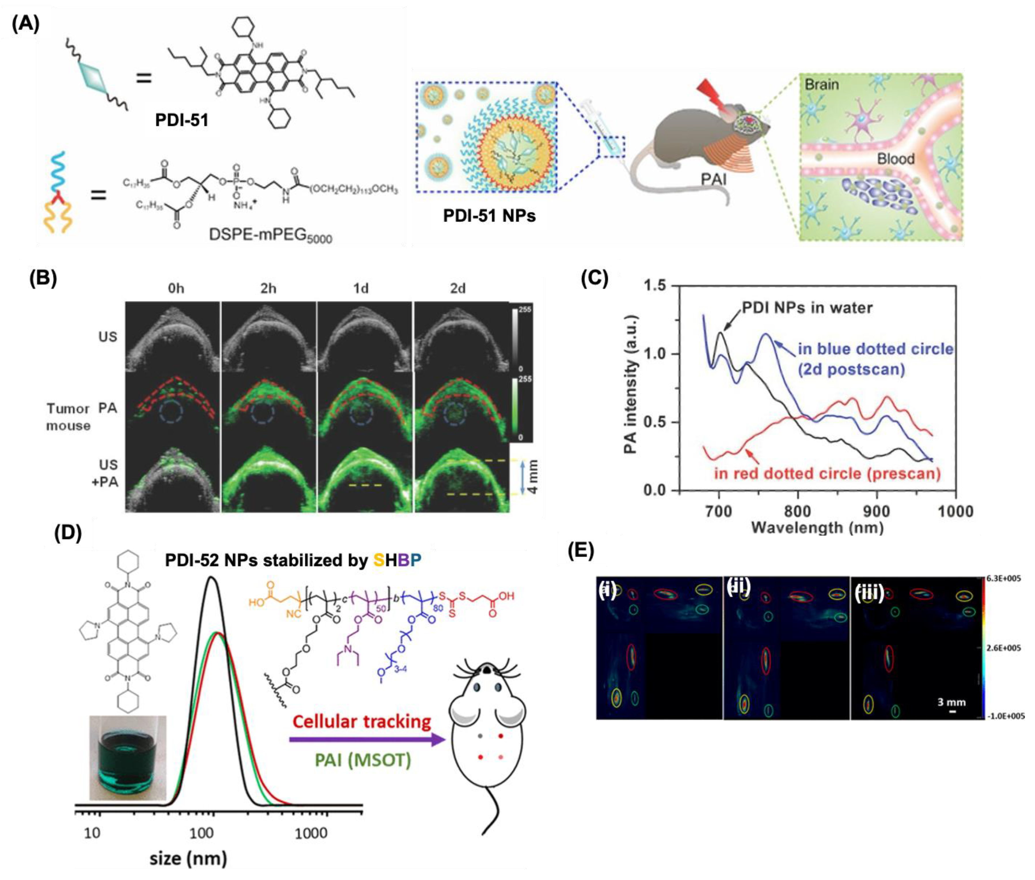 Preprints 151703 g012