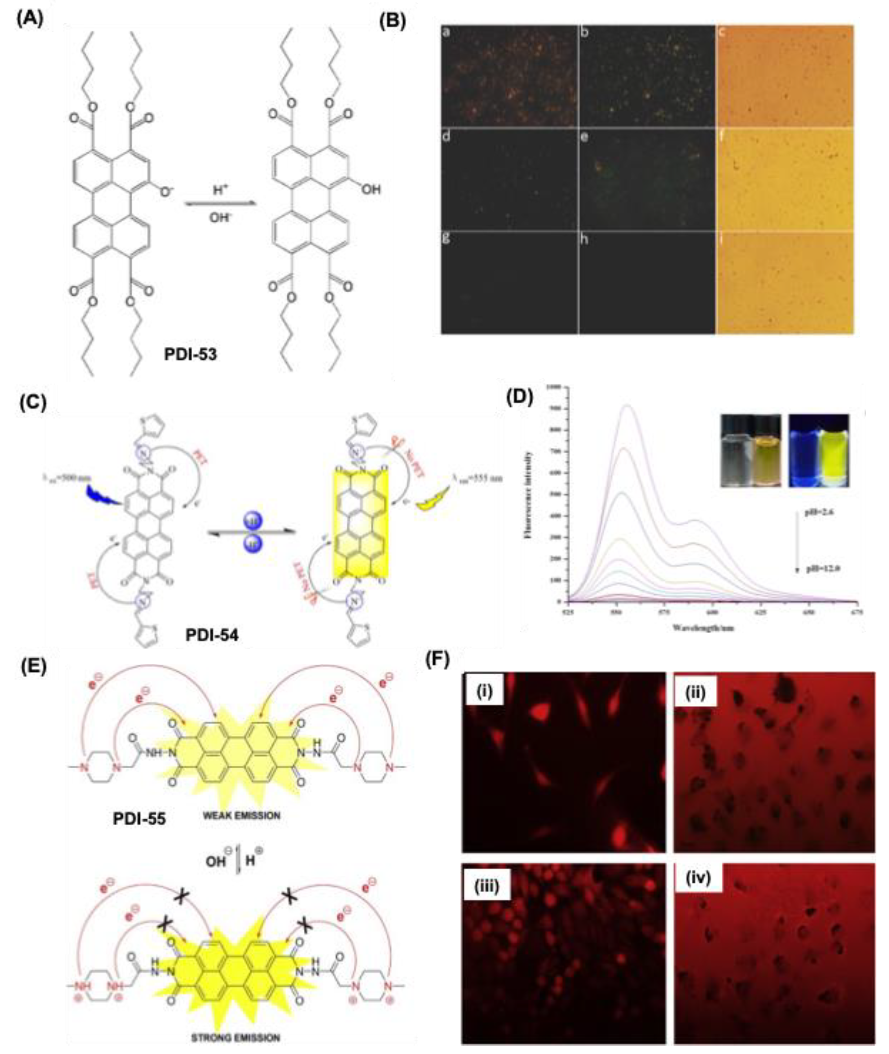 Preprints 151703 g013