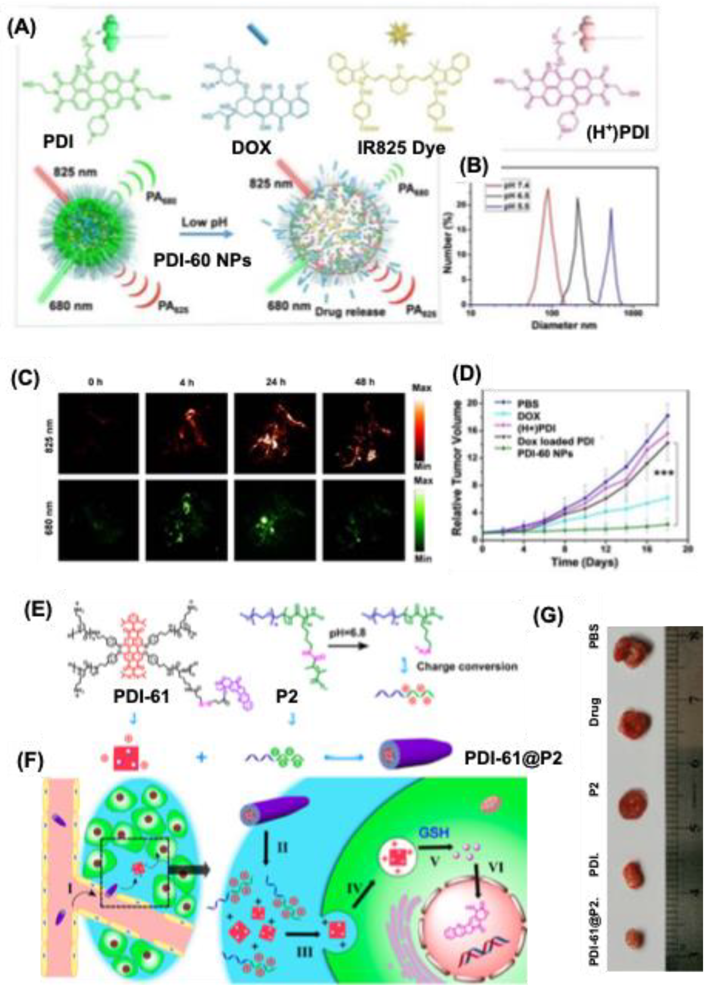 Preprints 151703 g015