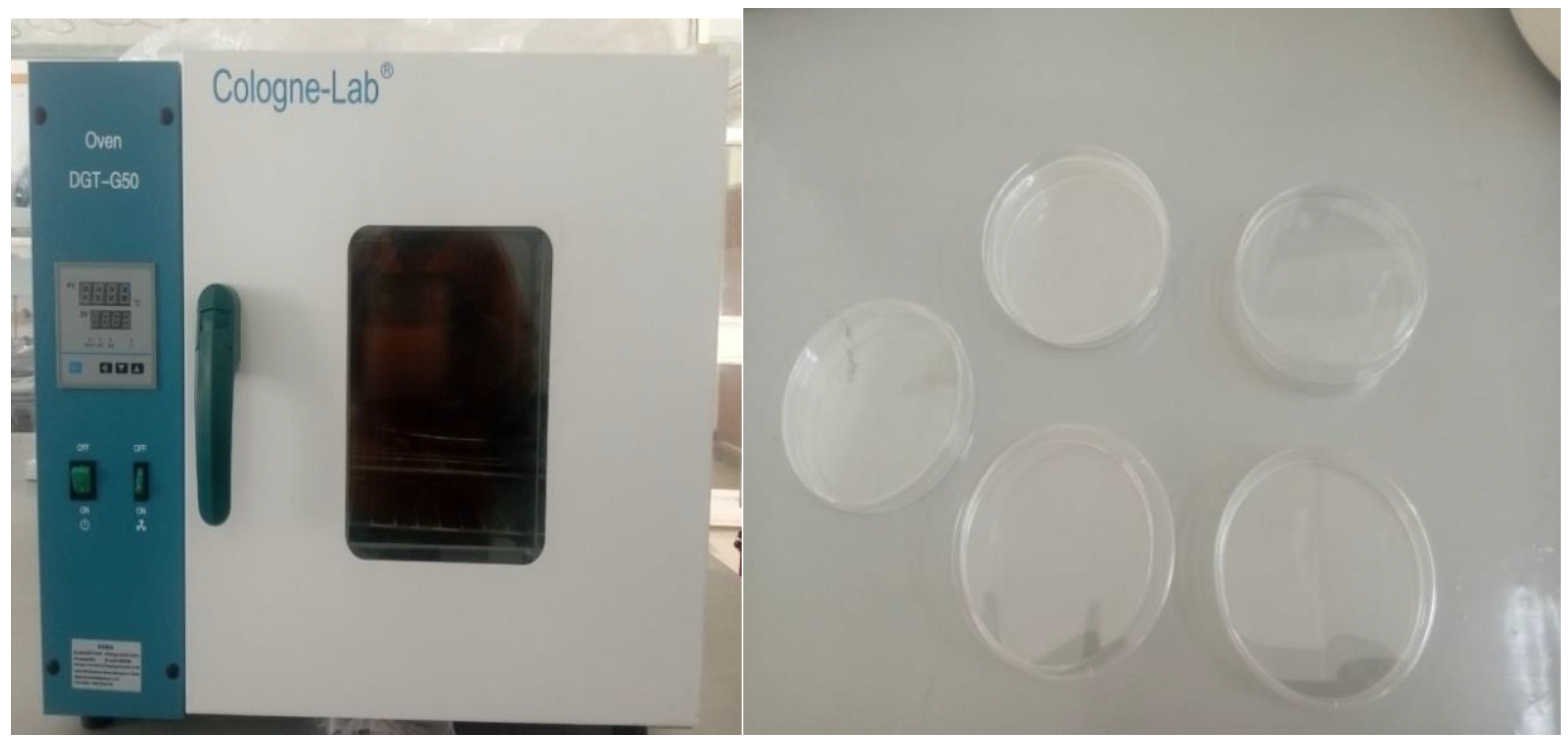 Preprints 138629 g004