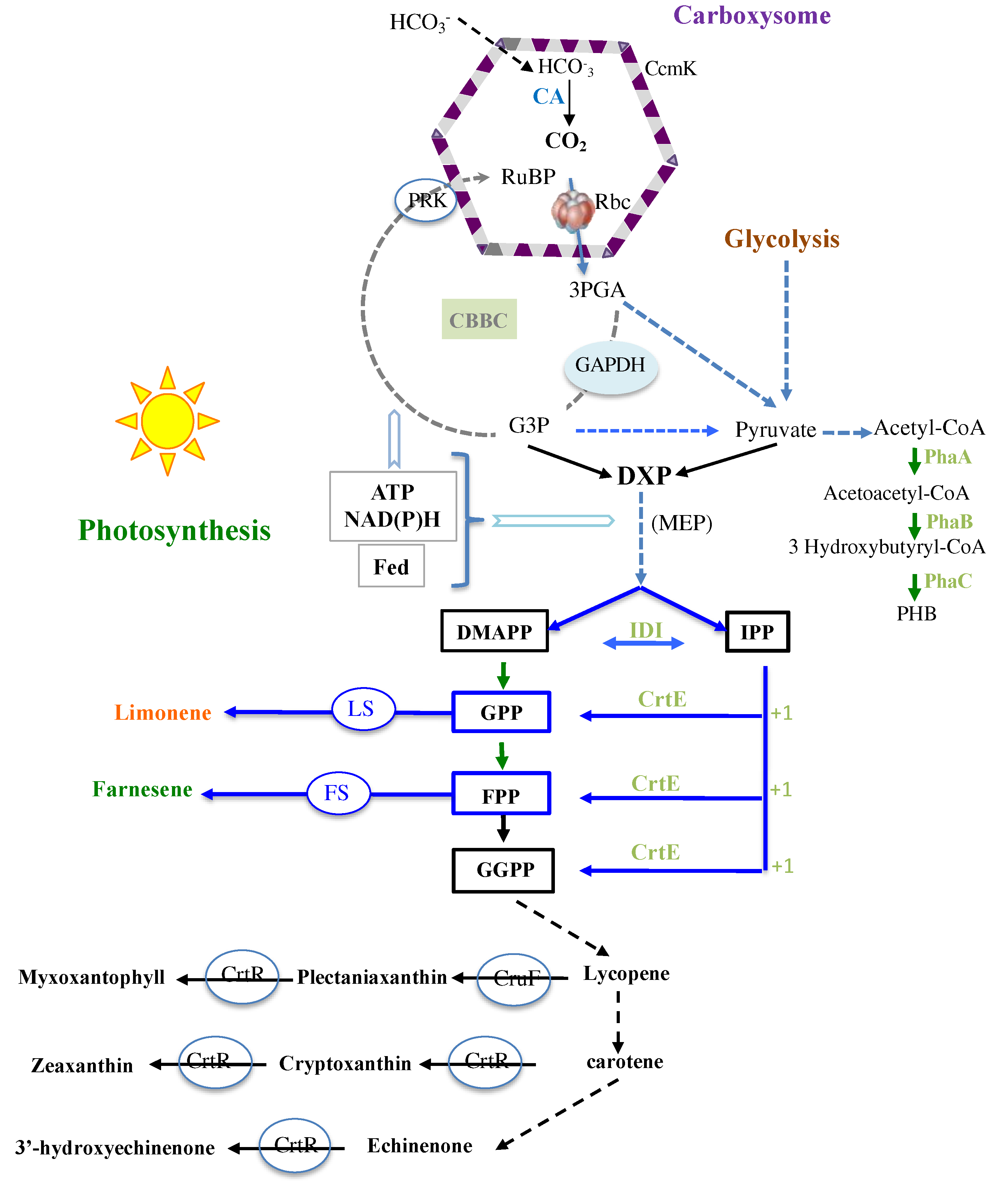 Preprints 90803 g001