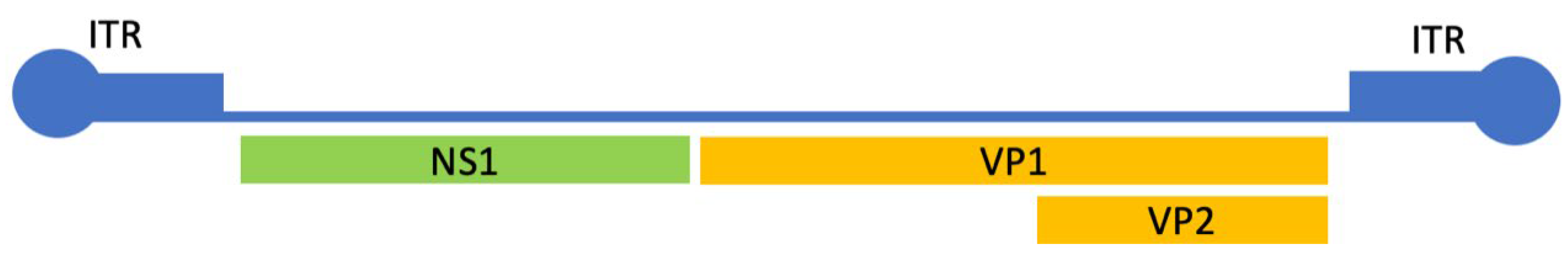 Preprints 144465 g001