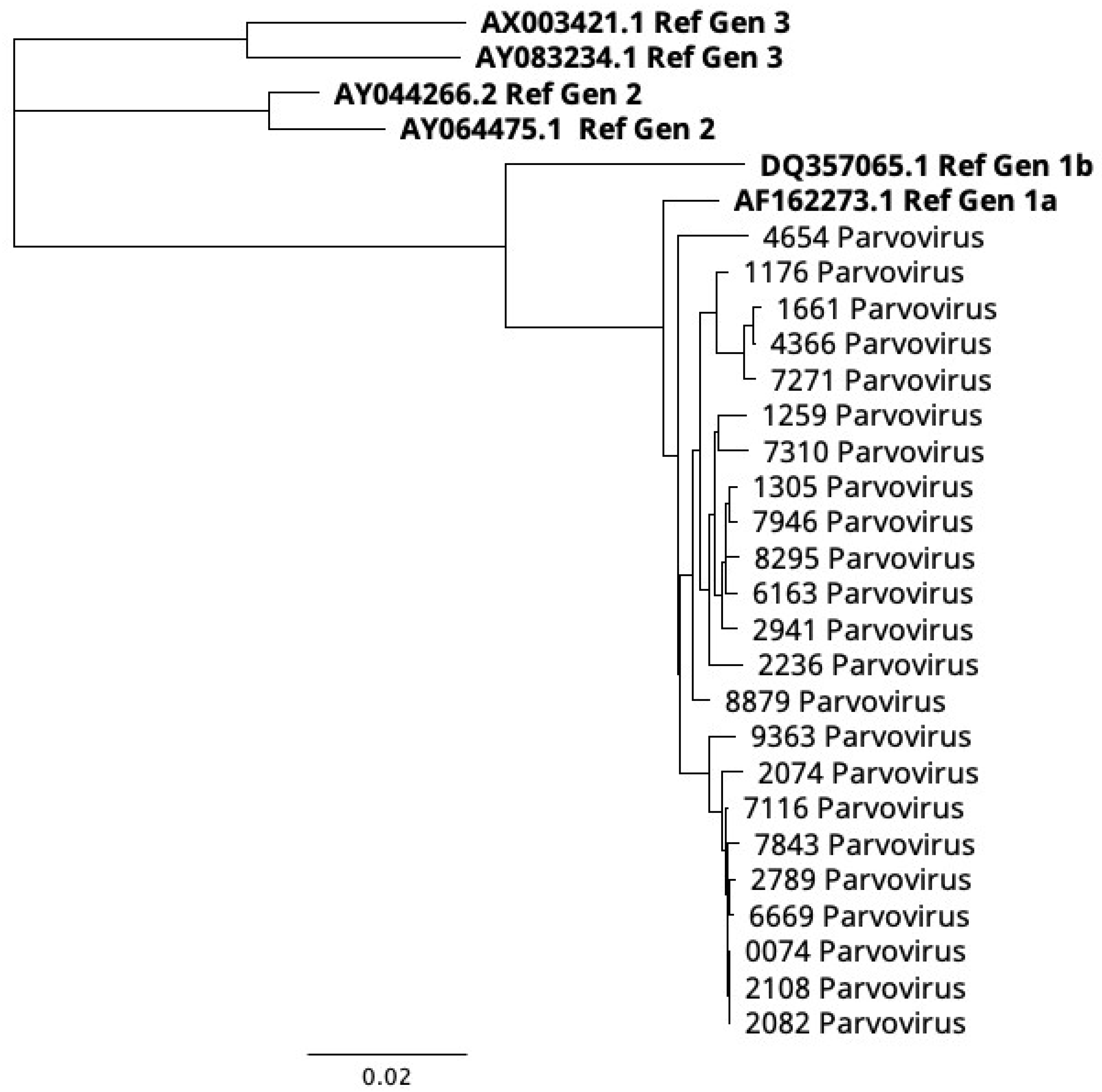 Preprints 144465 g003