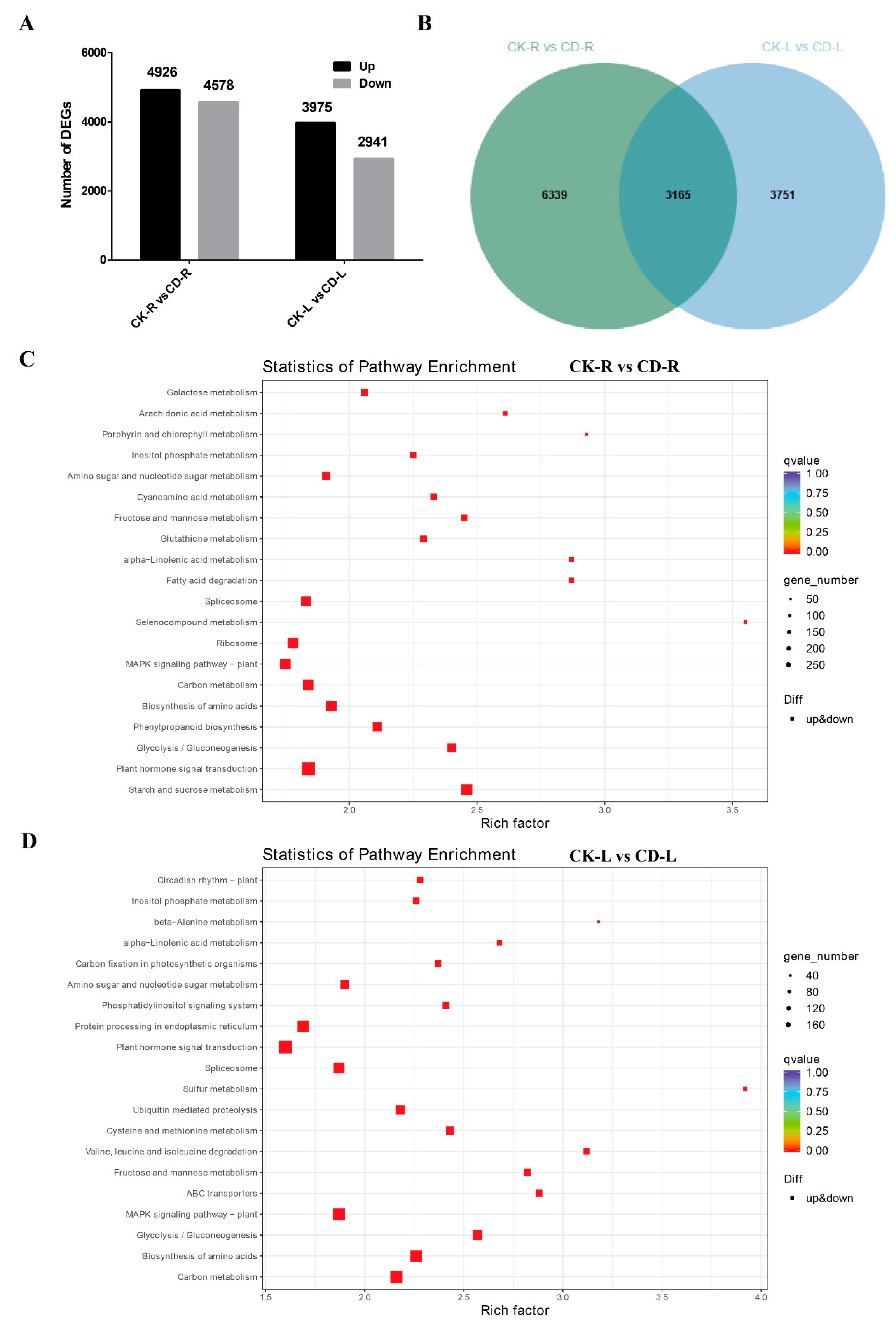 Preprints 227718 g002 Preprints 227718 g002