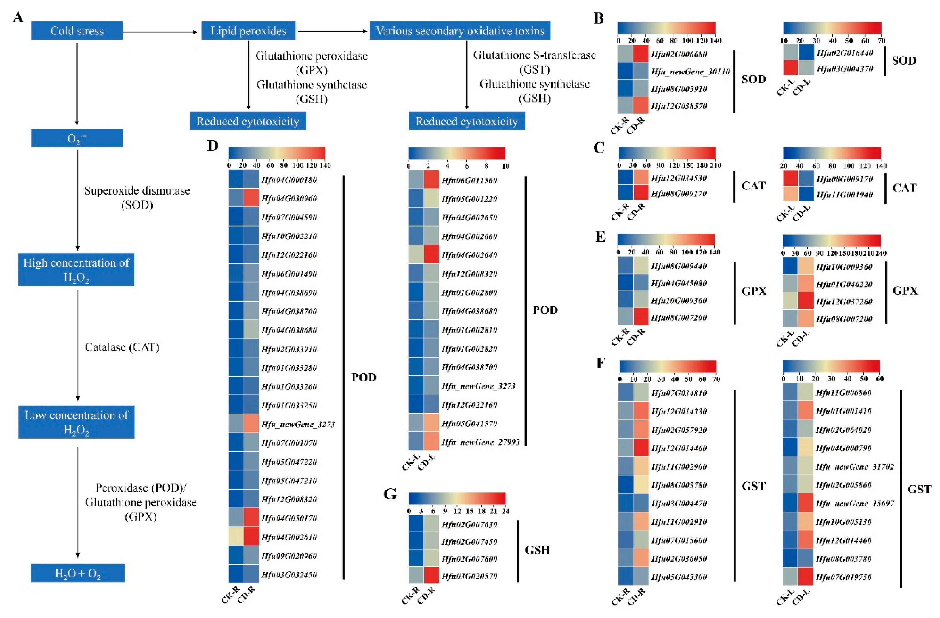 Preprints 227718 g006 Preprints 227718 g006