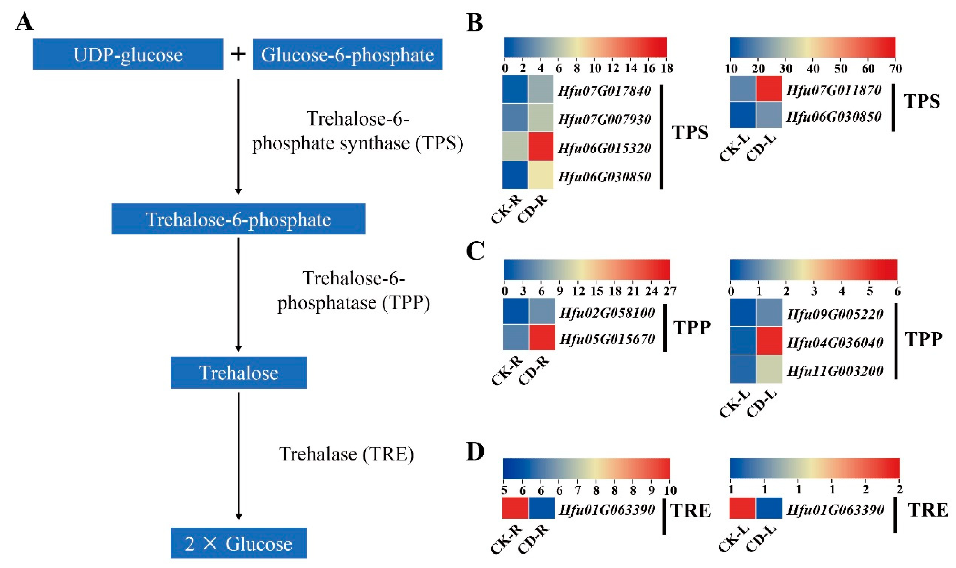 Preprints 227718 g009 Preprints 227718 g009