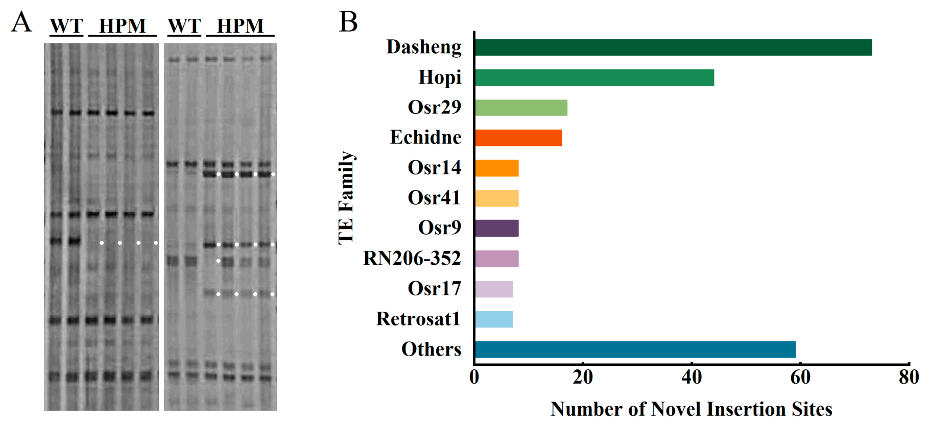Preprints 218590 g002 Preprints 218590 g002