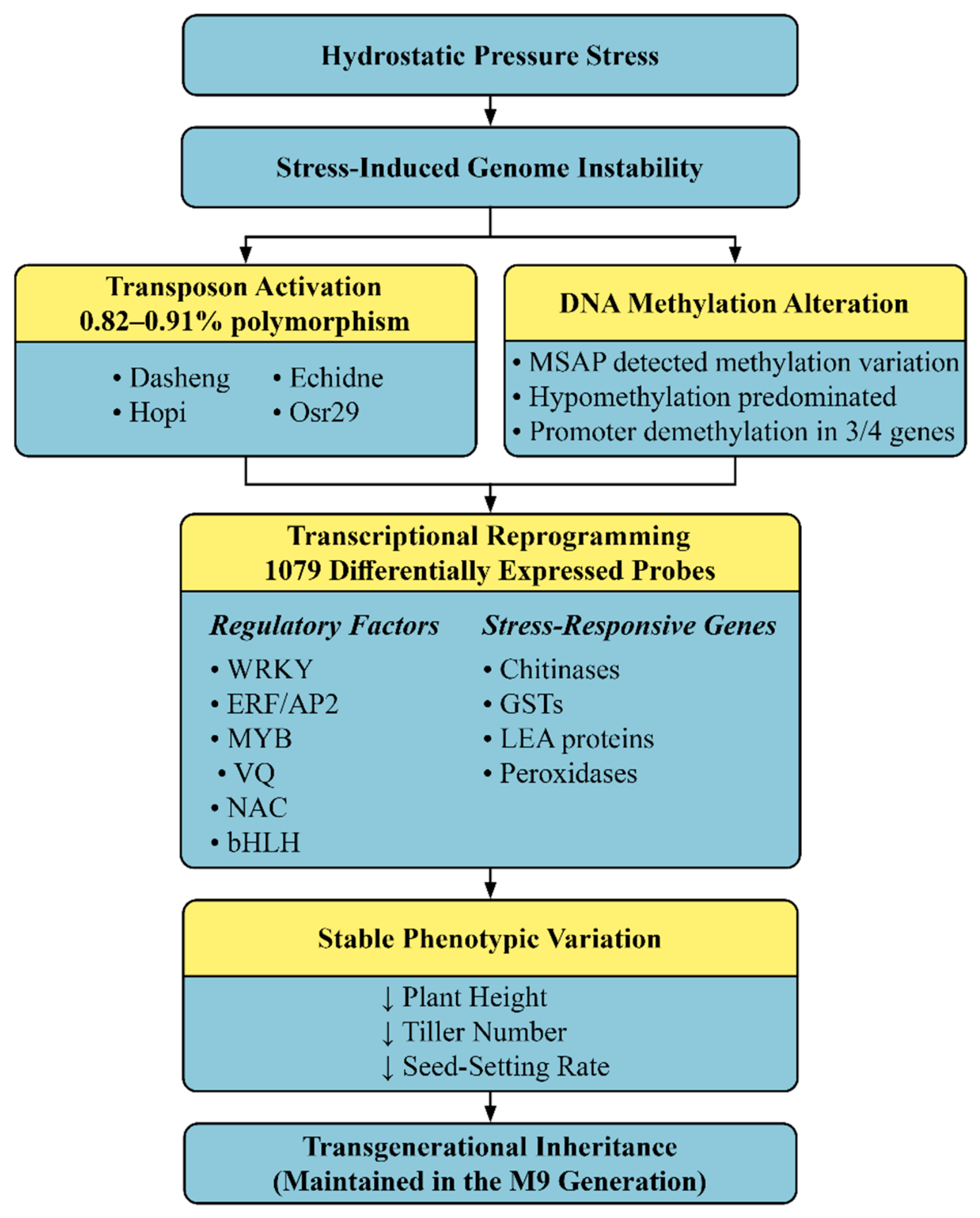 Preprints 218590 g005 Preprints 218590 g005