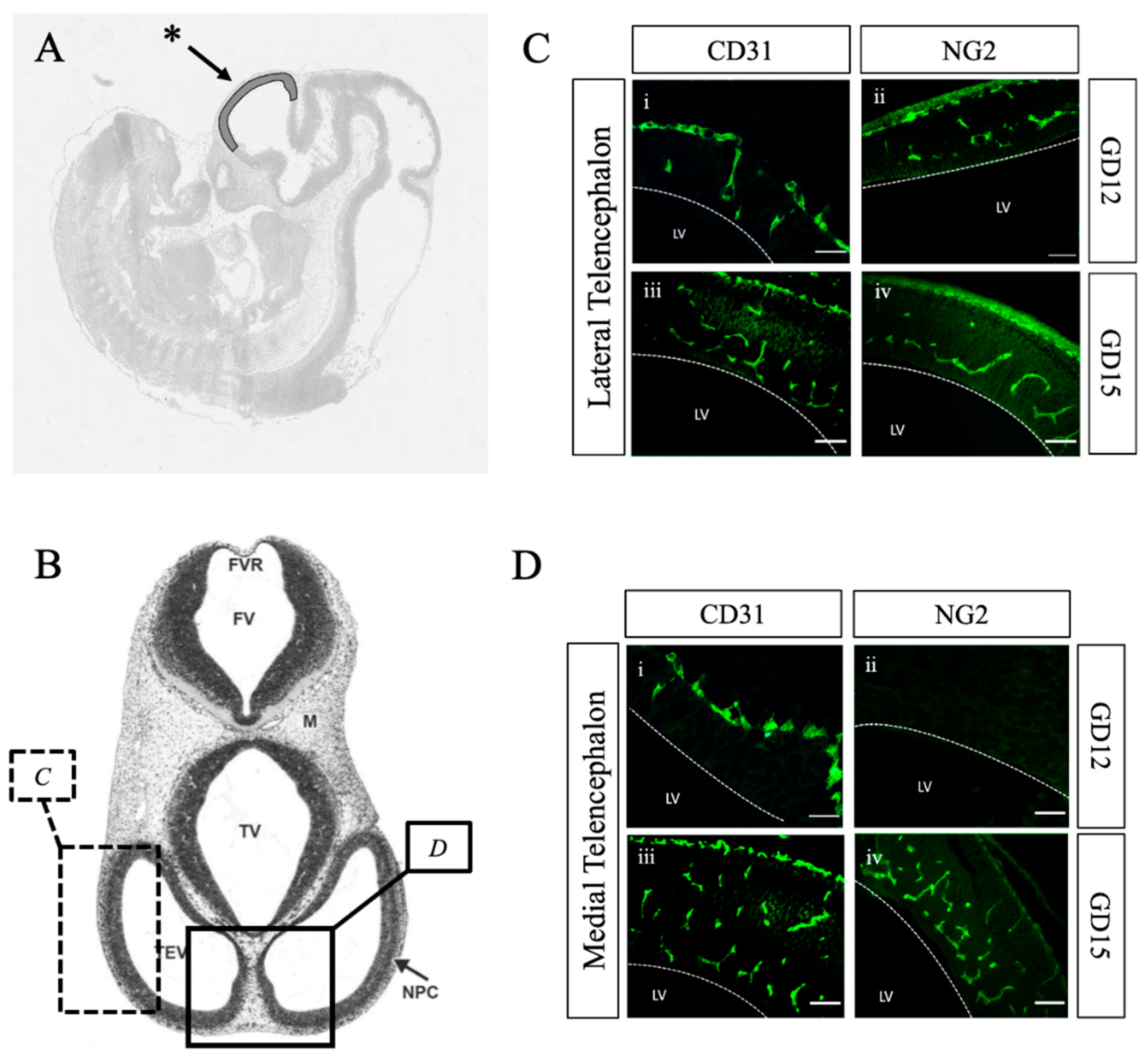 Preprints 149359 g003