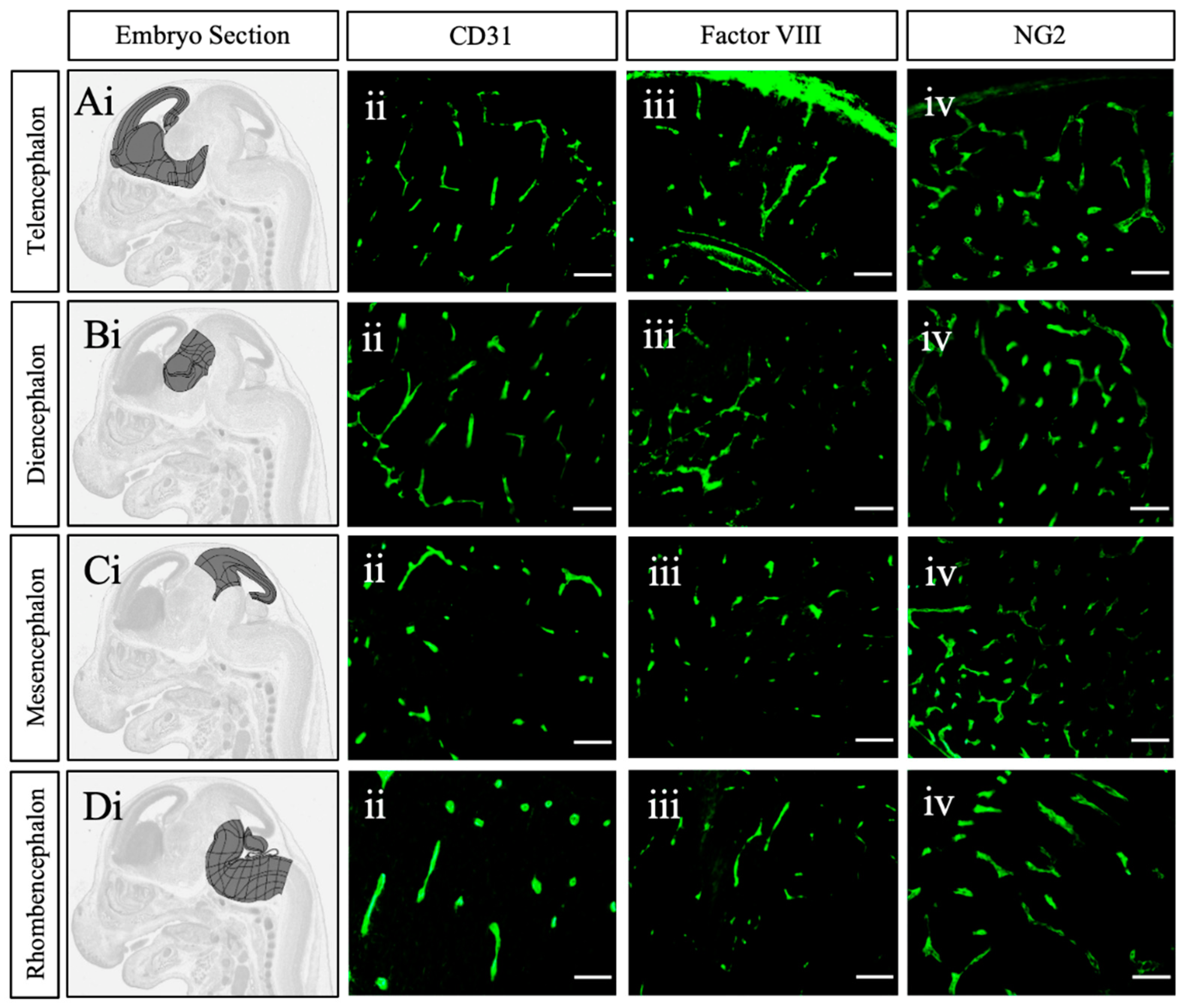 Preprints 149359 g004