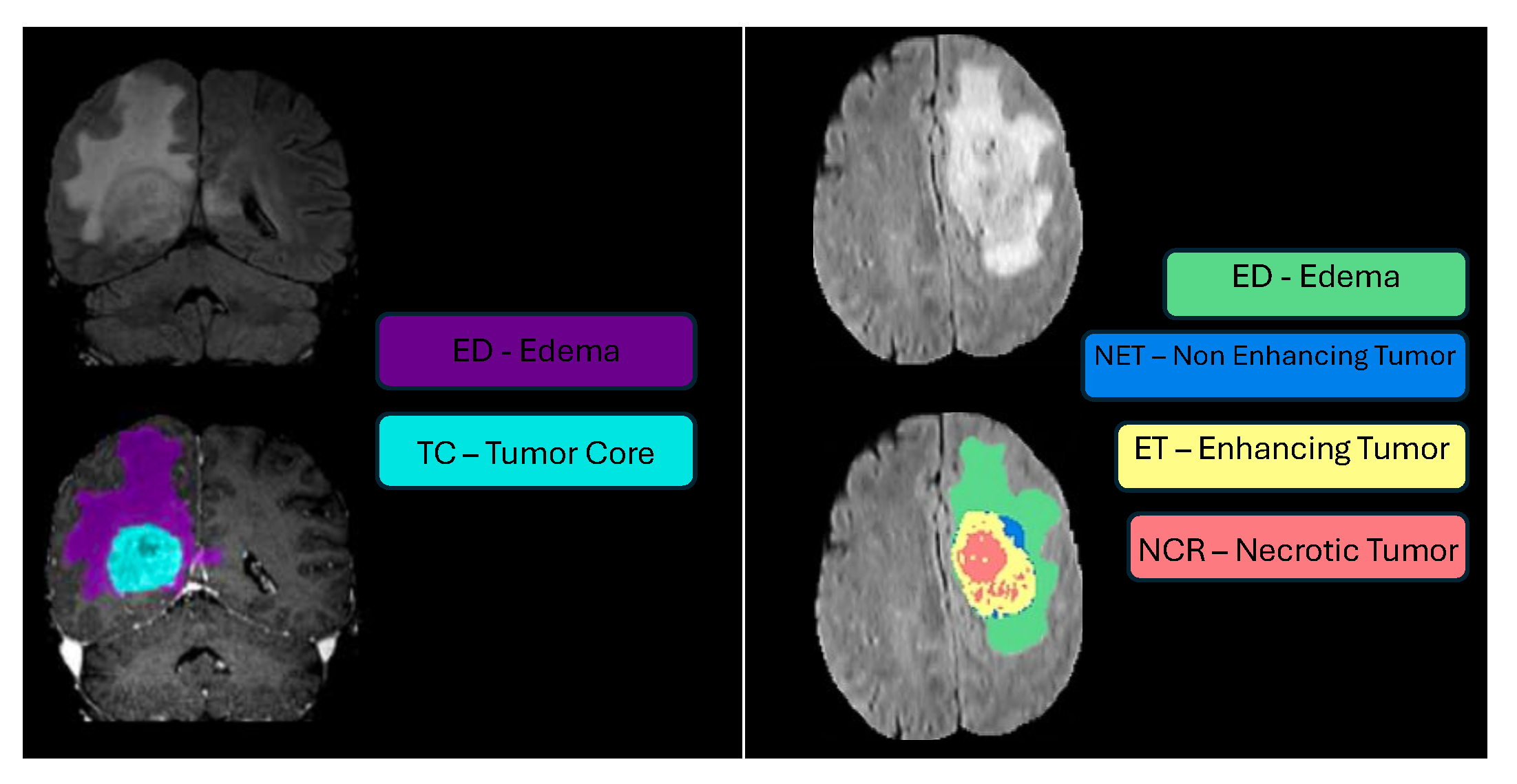 Preprints 144647 g003