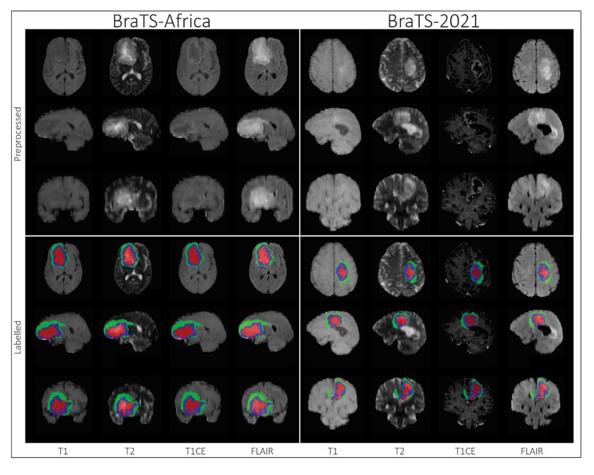 Preprints 144647 g006