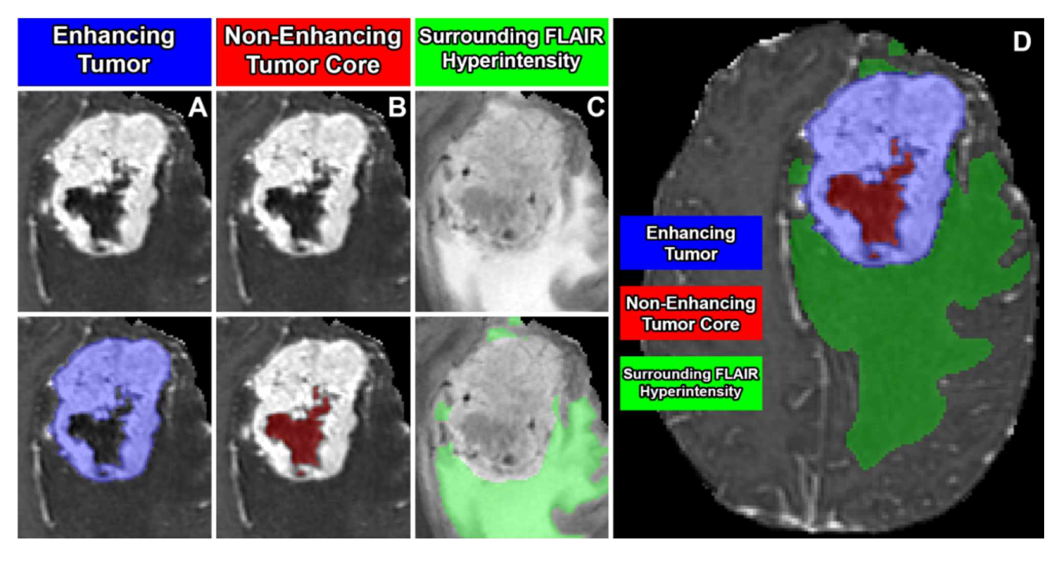 Preprints 144647 g009