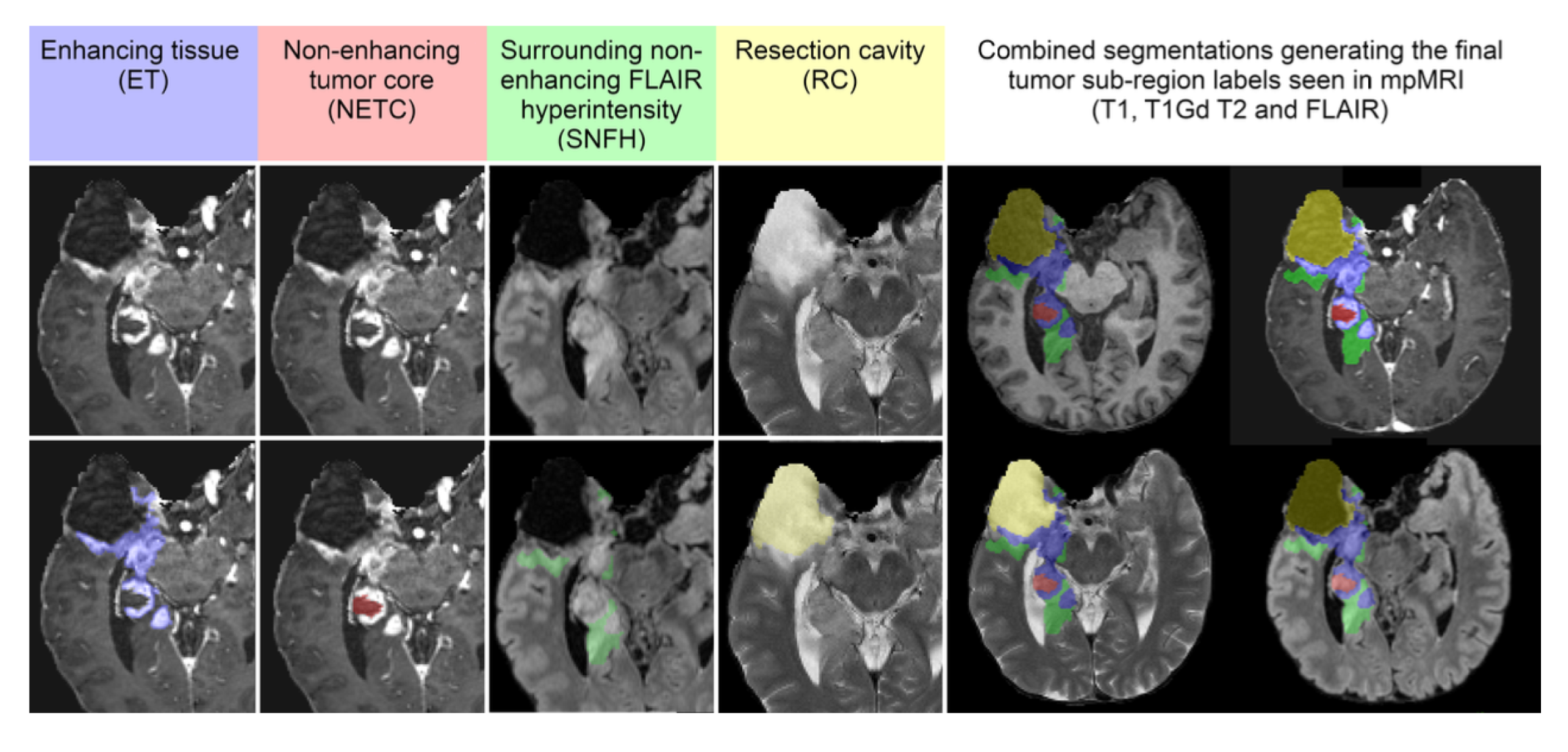 Preprints 144647 g011
