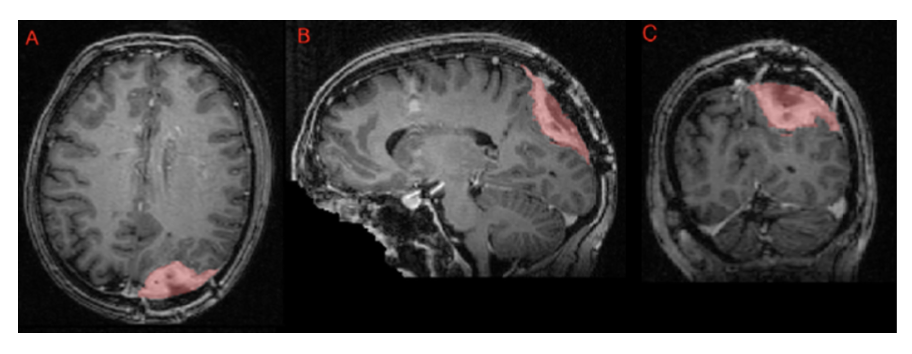 Preprints 144647 g012