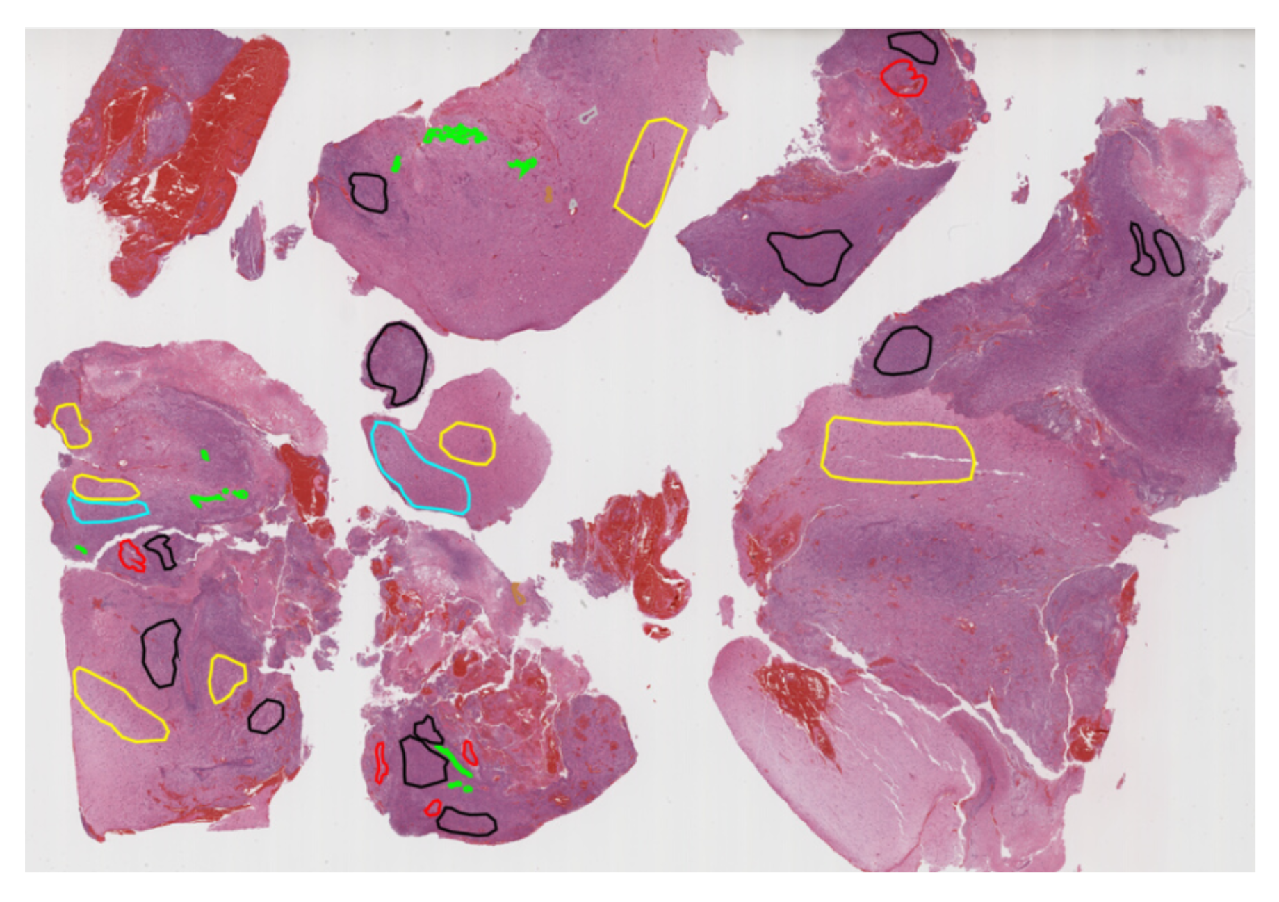 Preprints 144647 g013