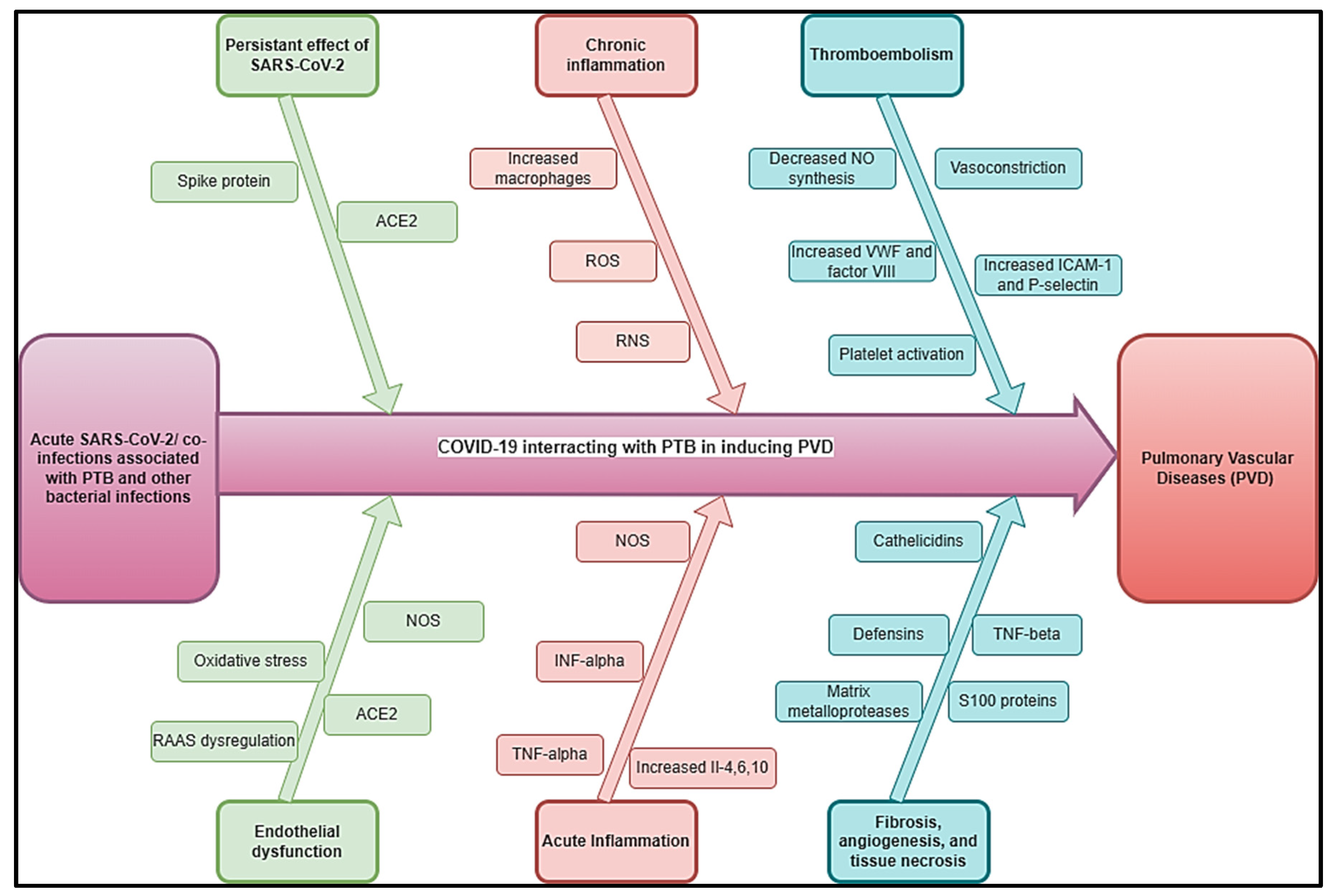 Preprints 141104 g003