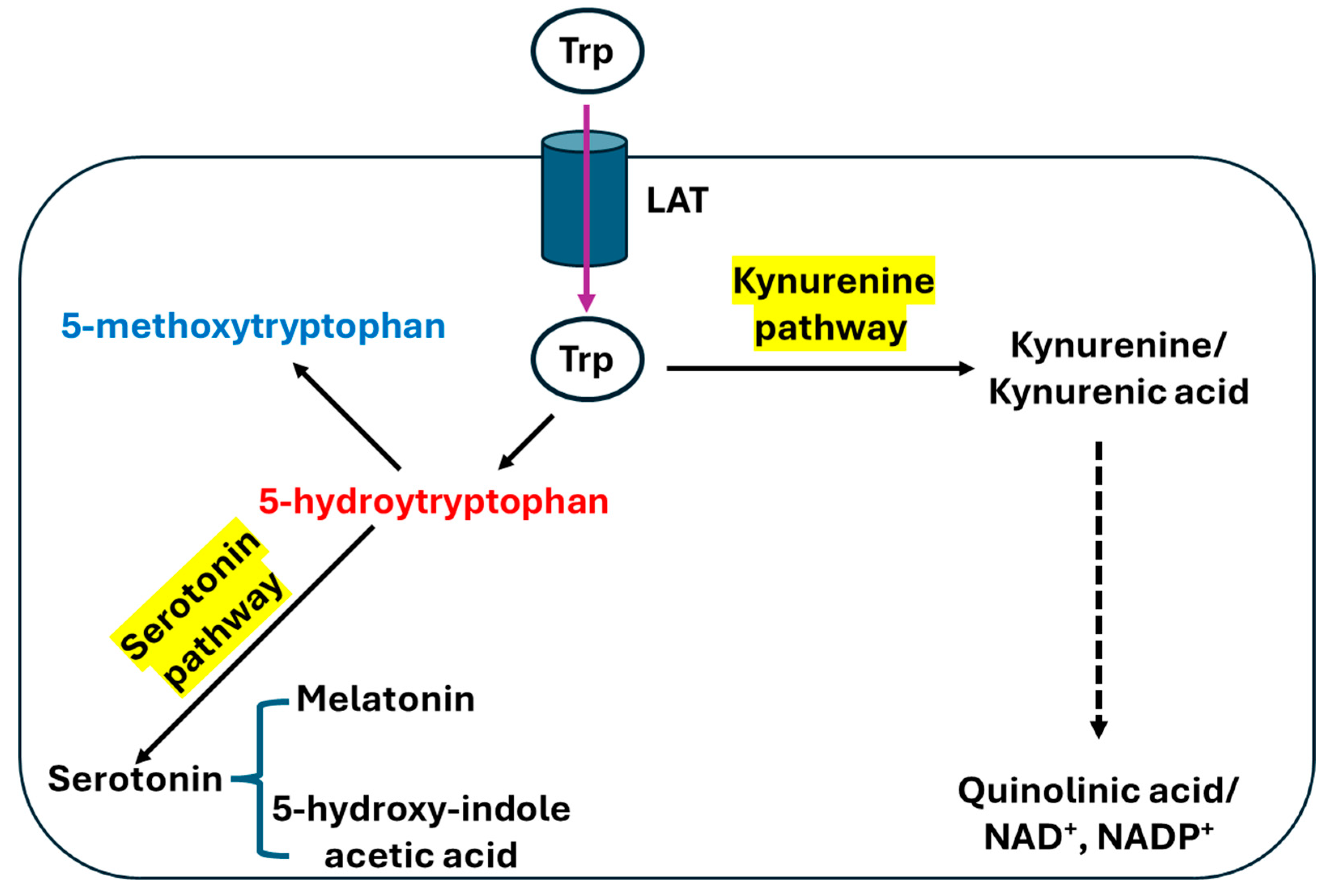 Preprints 192185 g001