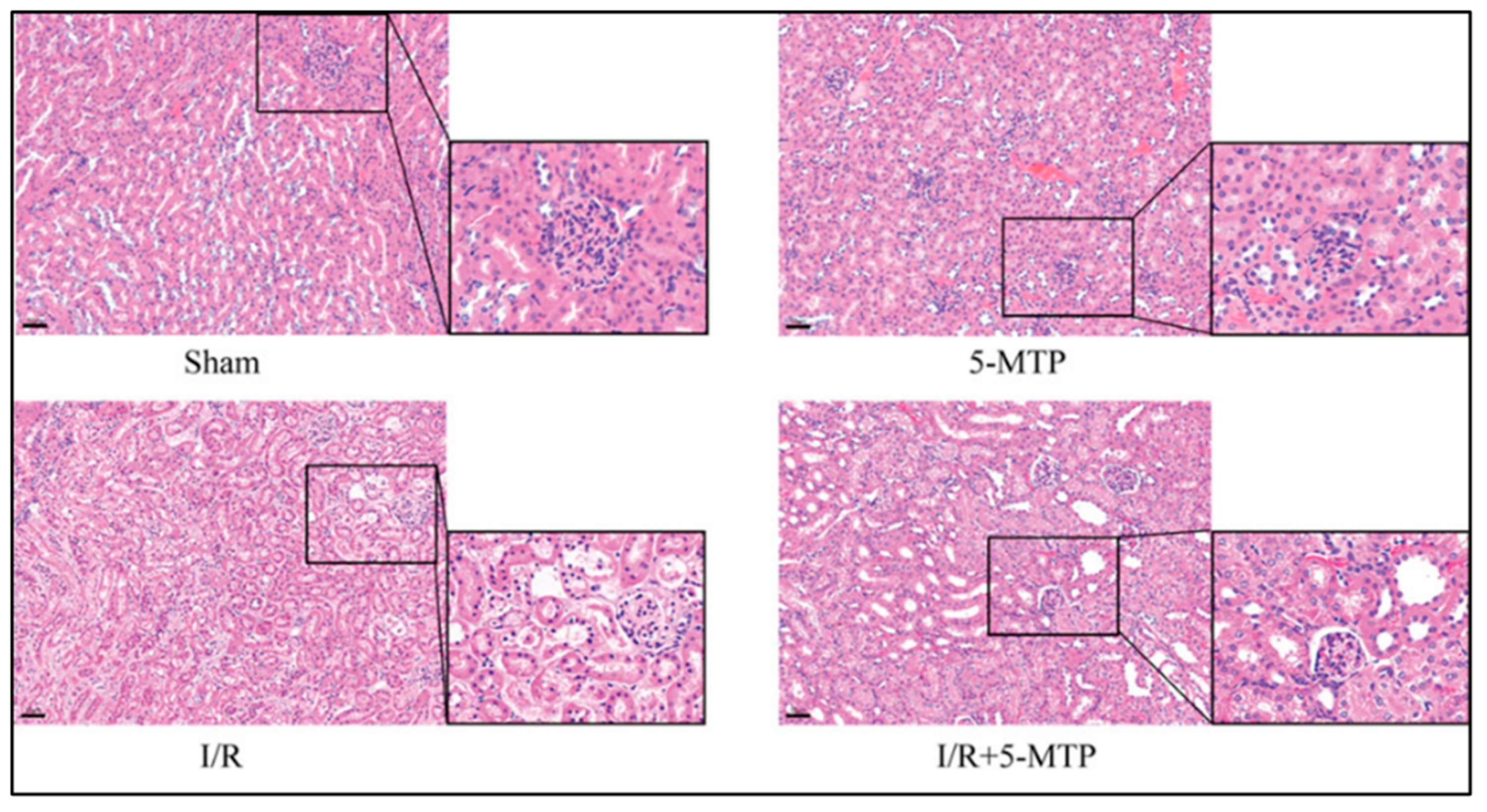 Preprints 192185 g004