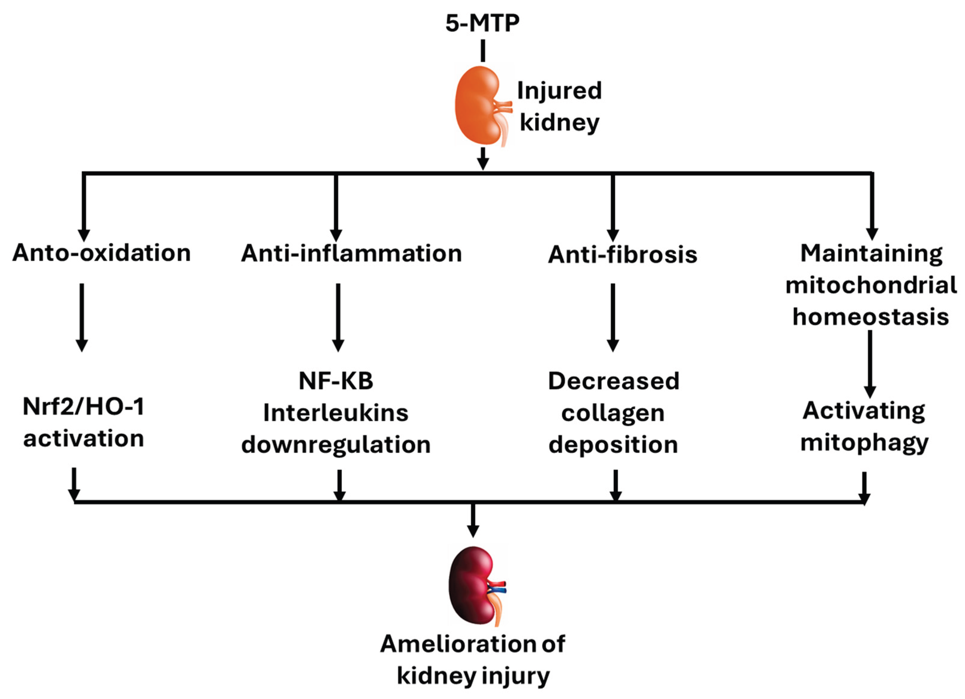 Preprints 192185 g005