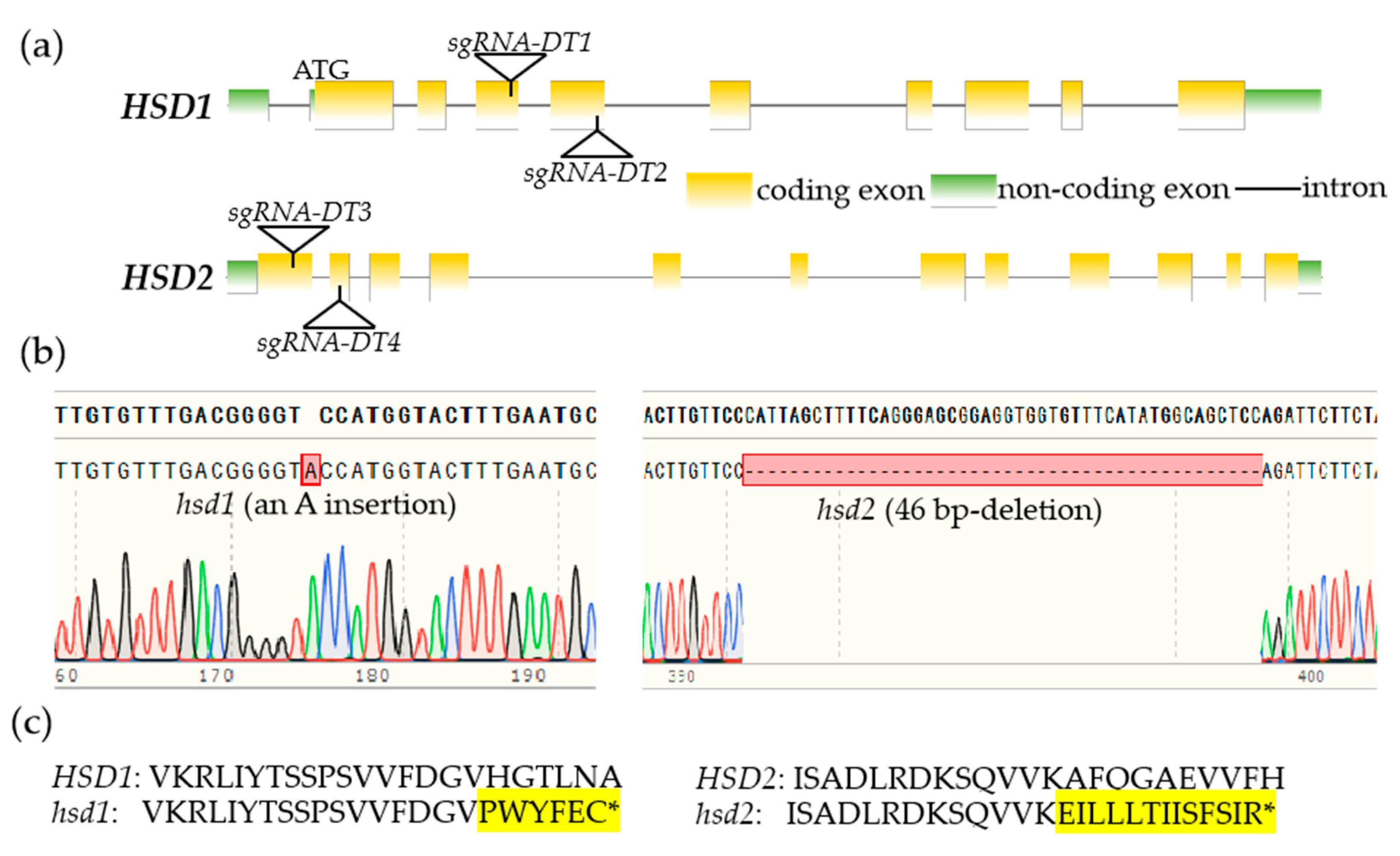 Preprints 86811 g001