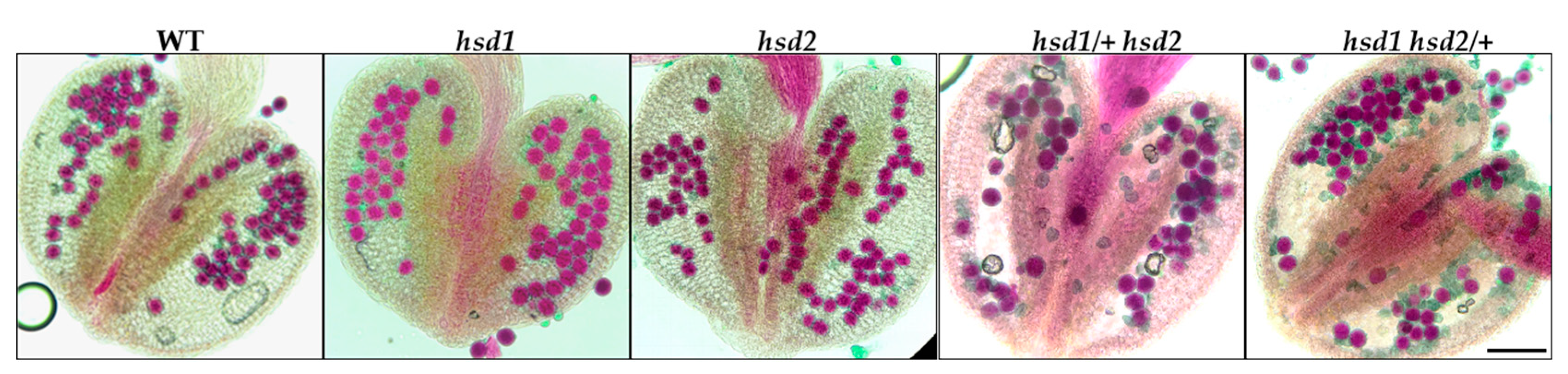 Preprints 86811 g004