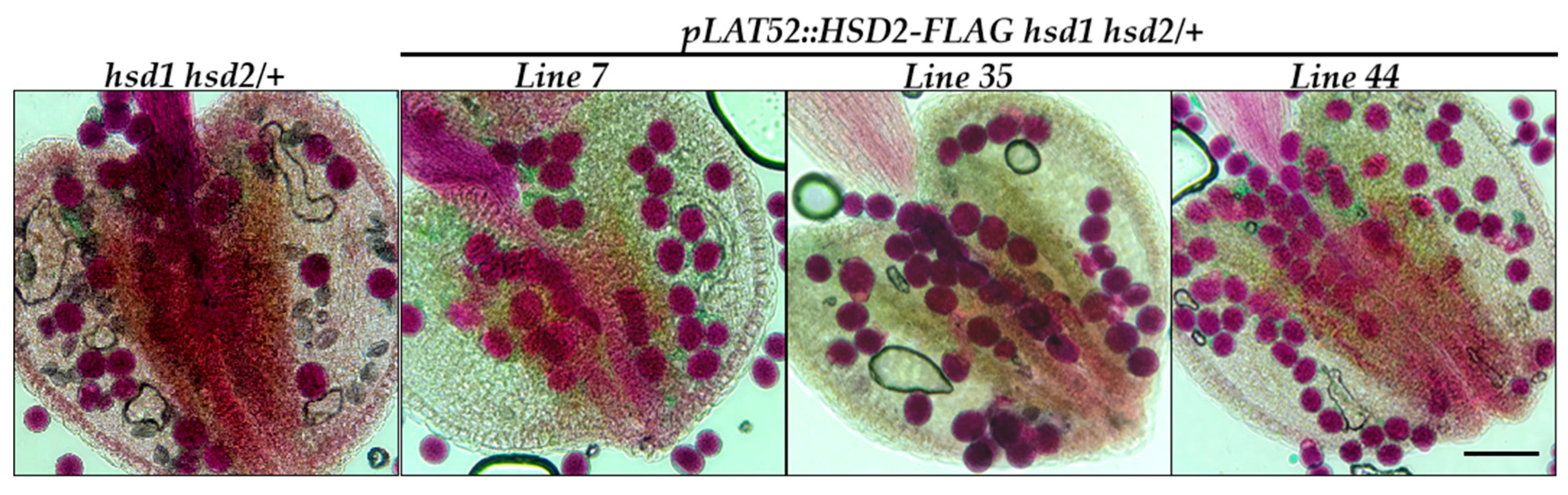Preprints 86811 g005