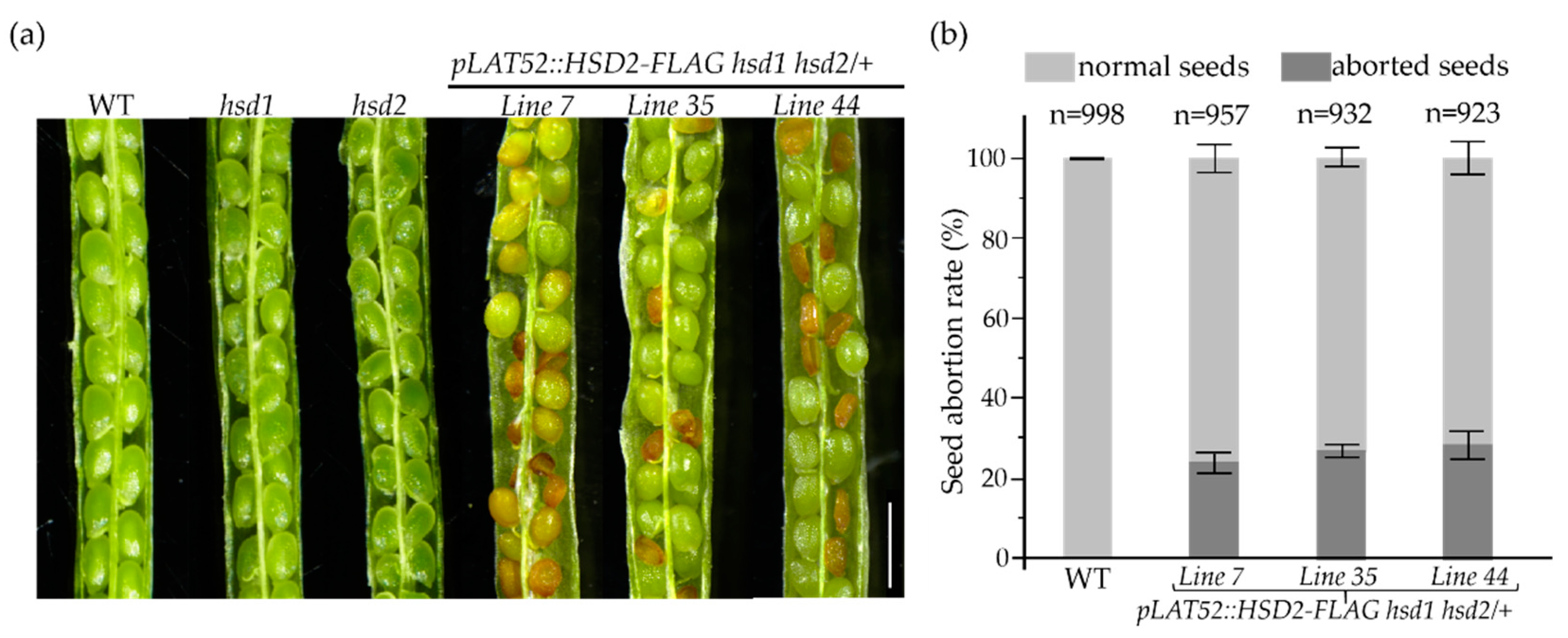 Preprints 86811 g006