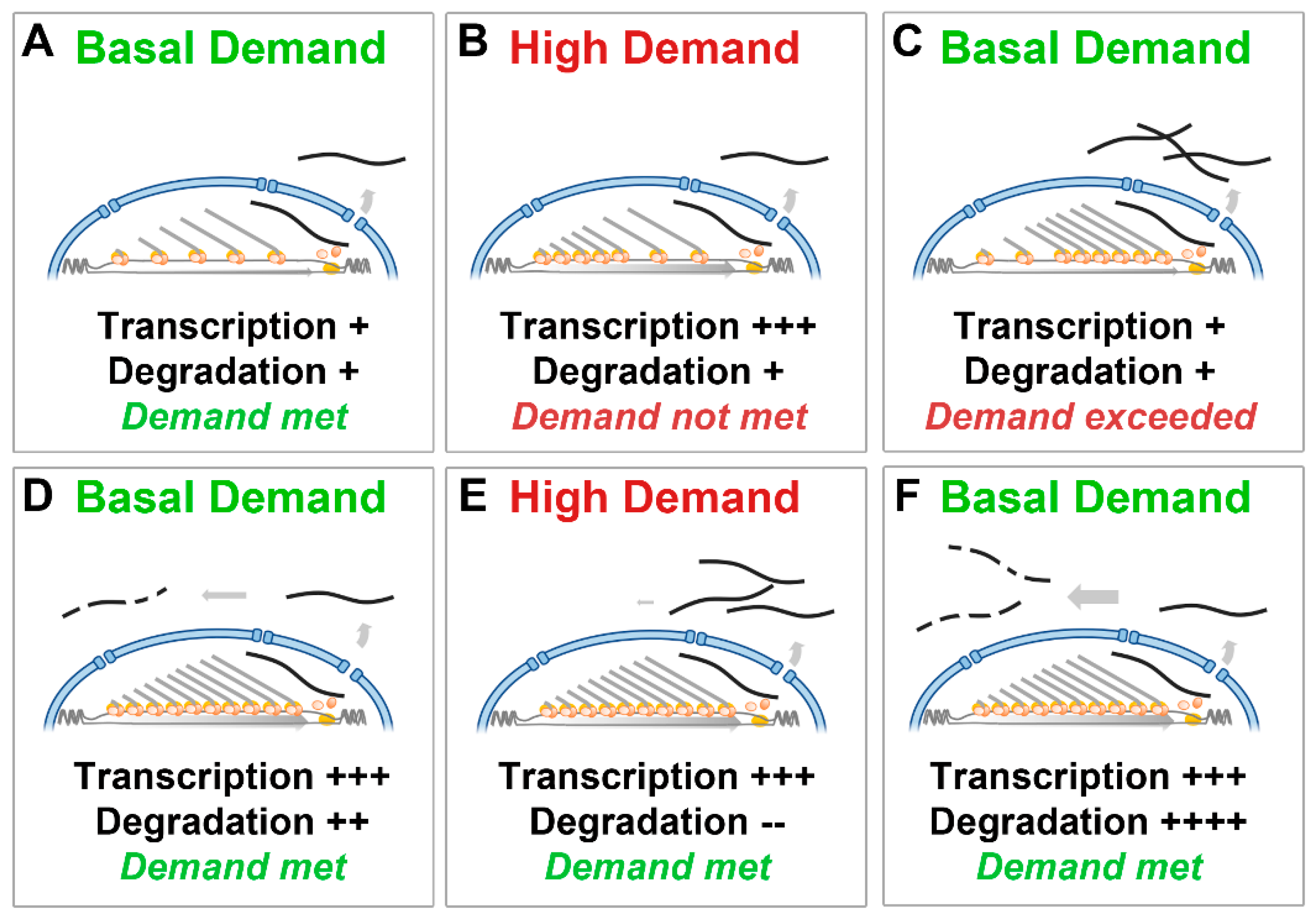 Preprints 77849 g004