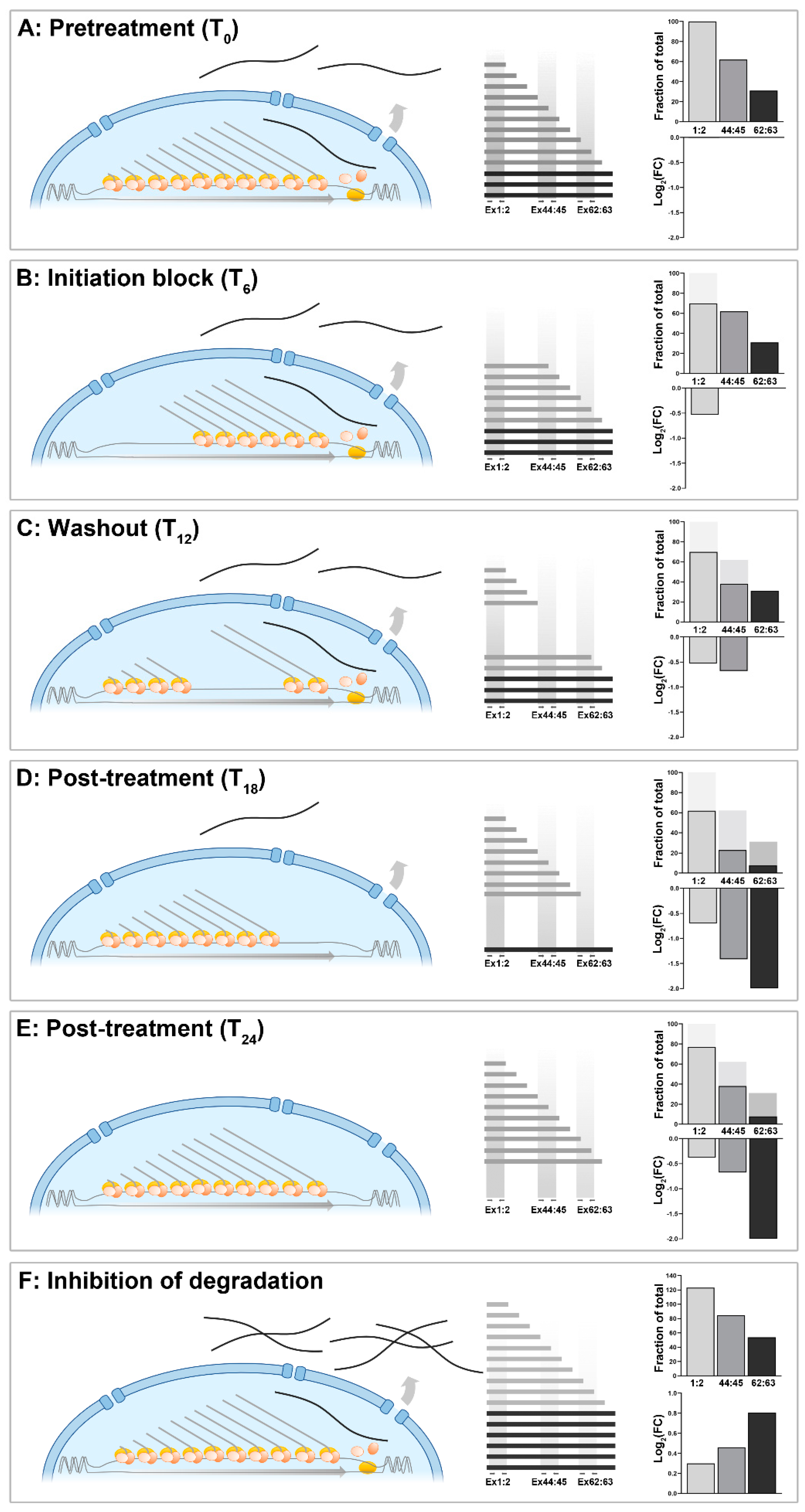 Preprints 77849 g006