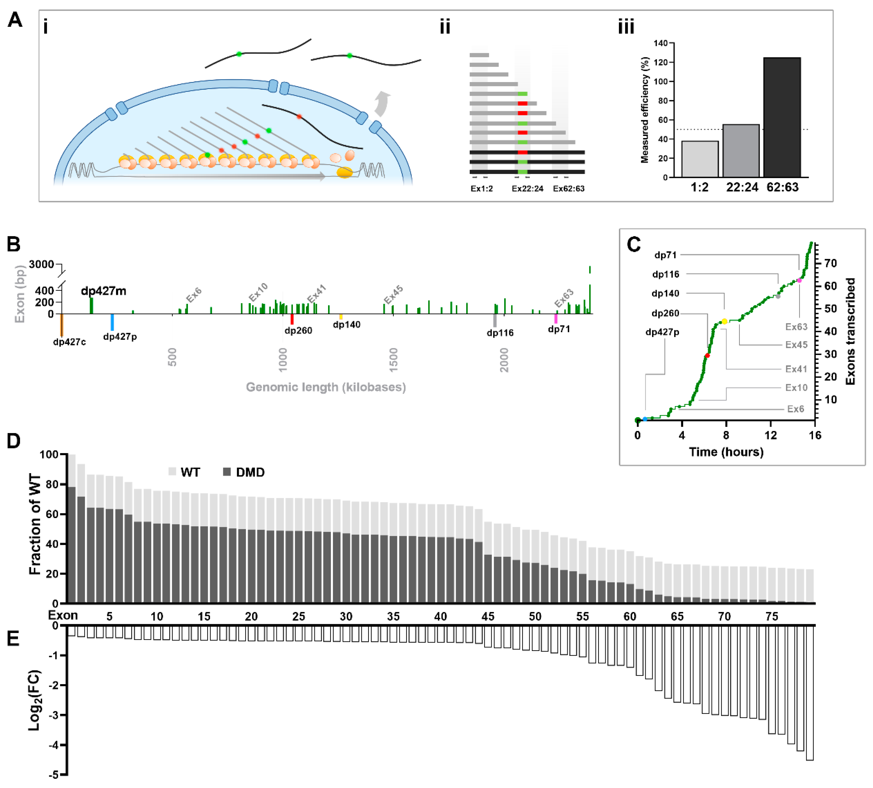 Preprints 77849 g007
