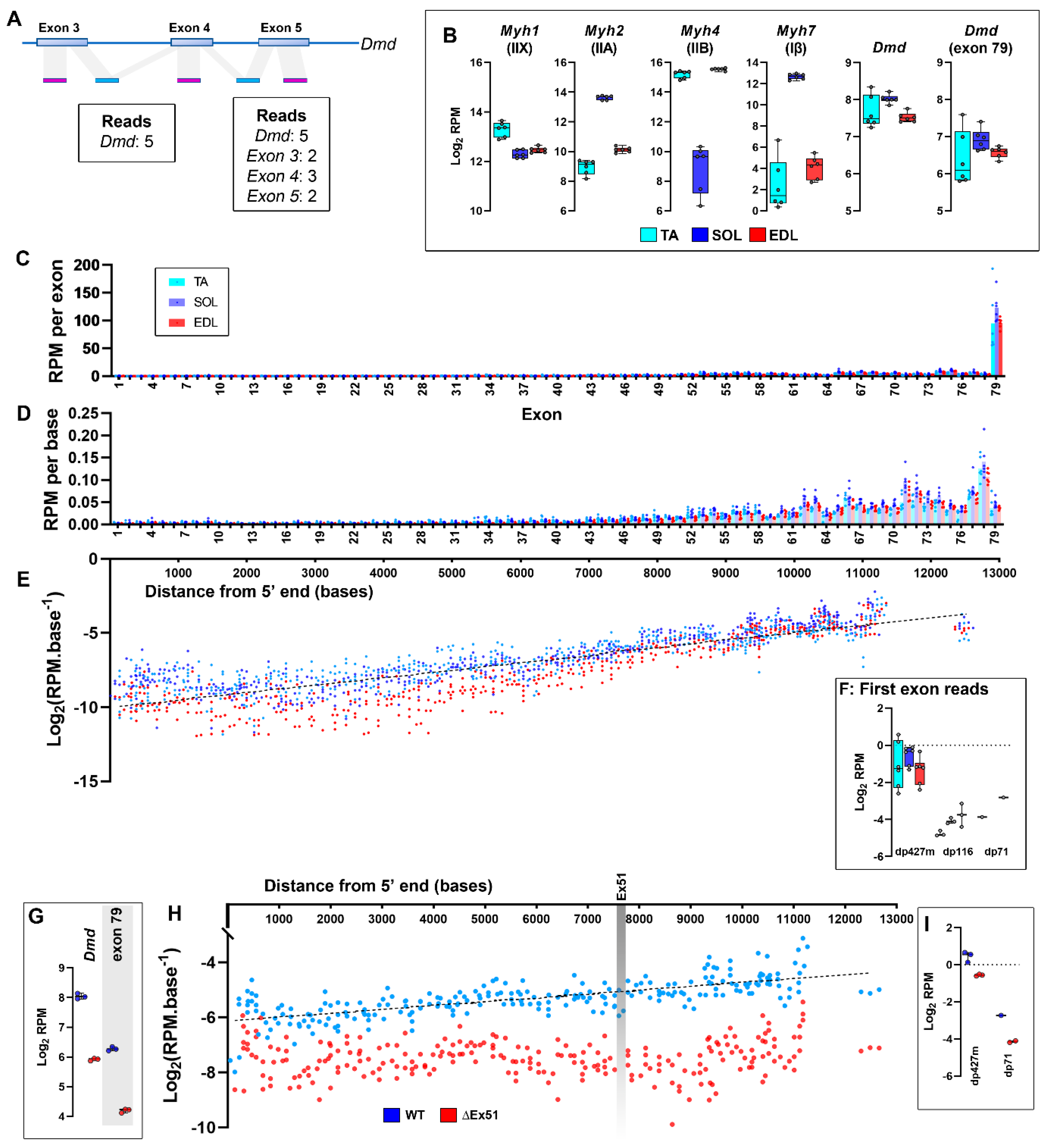 Preprints 77849 g008