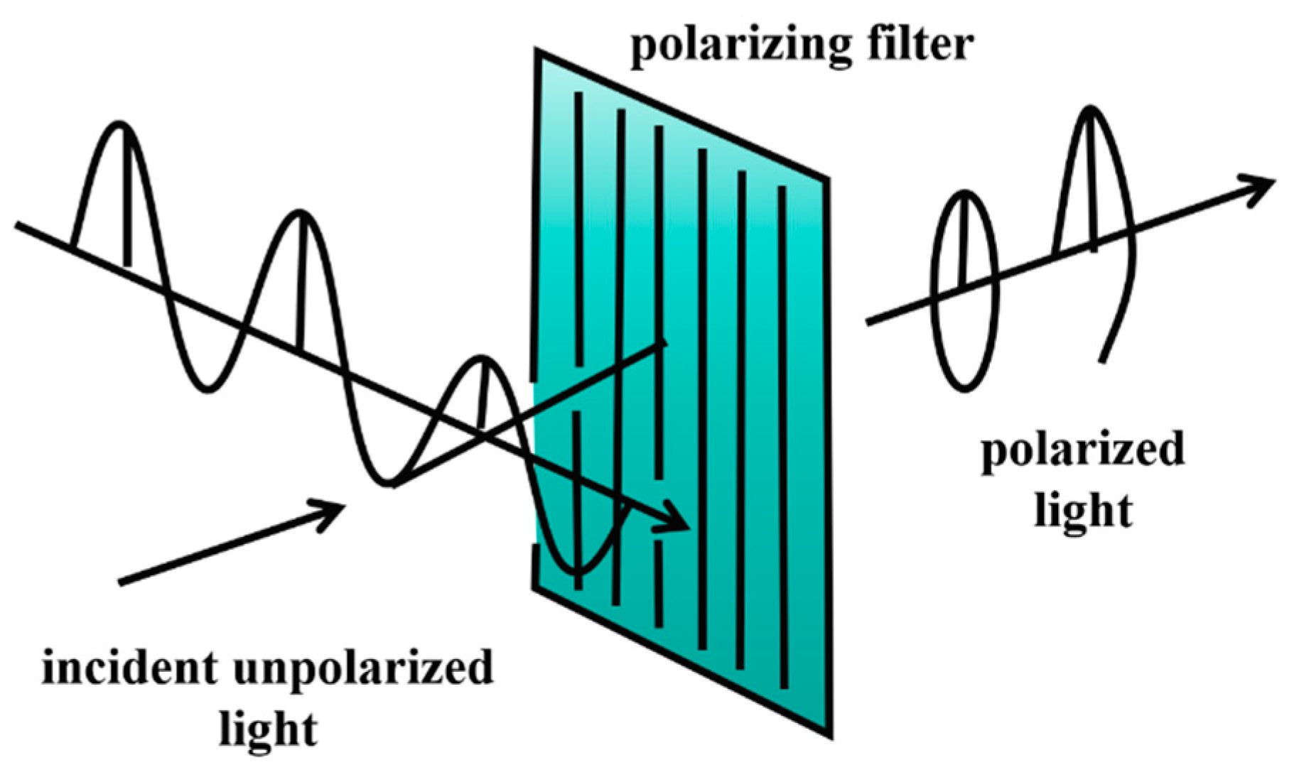 Preprints 184487 g005