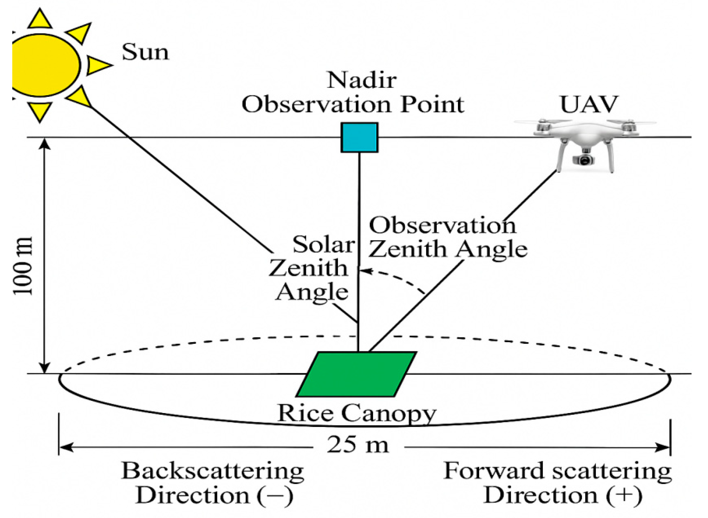 Preprints 184487 g010